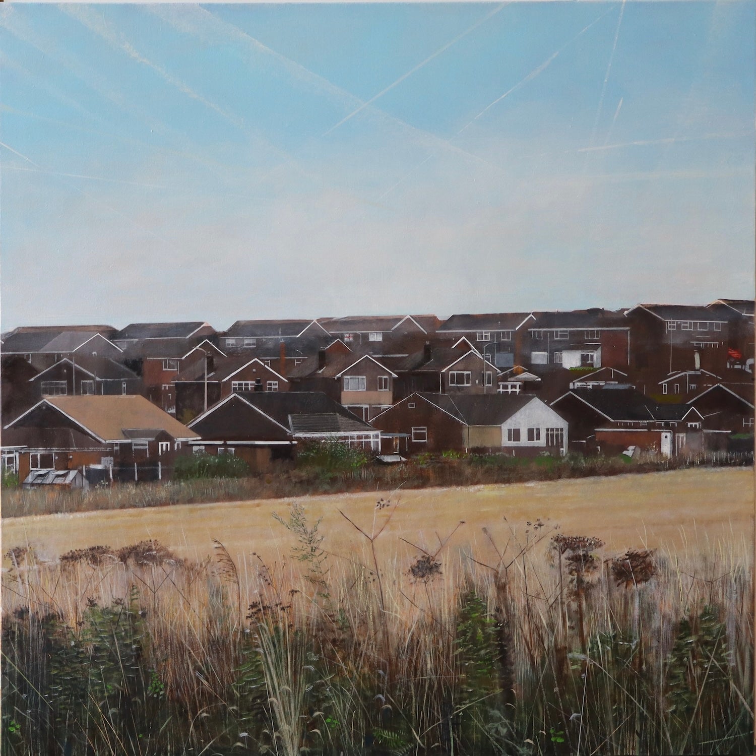 Collection of  in a gallery layout