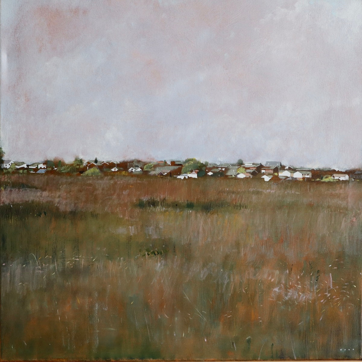 Collection of  in a gallery layout