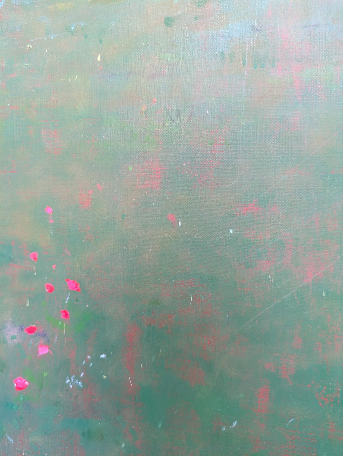 Collection of Andrew Torr - Tall Poppies in a gallery layout