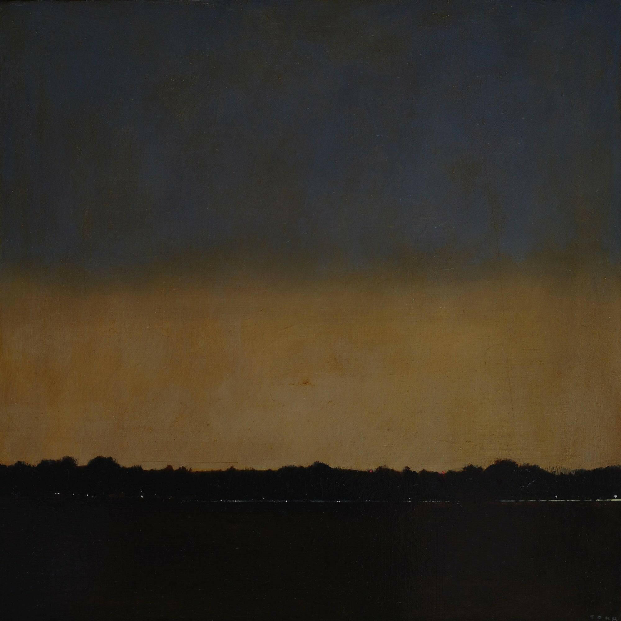 Collection of Andrew Torr - Nocturne Tooting Bec IV - Liminal Gallery in a gallery layout