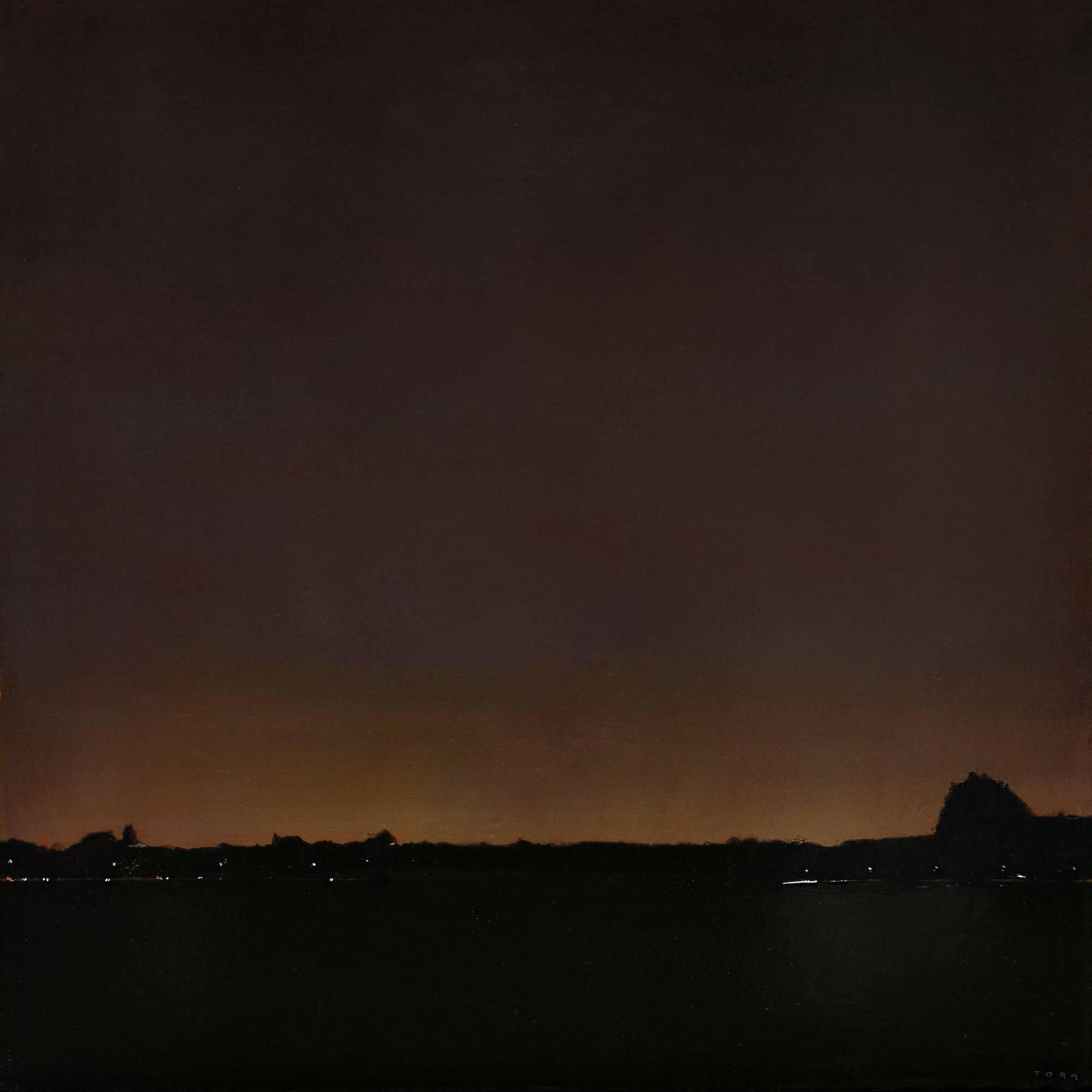 Collection of Andrew Torr - Wandsworth Common III - Liminal Gallery in a gallery layout