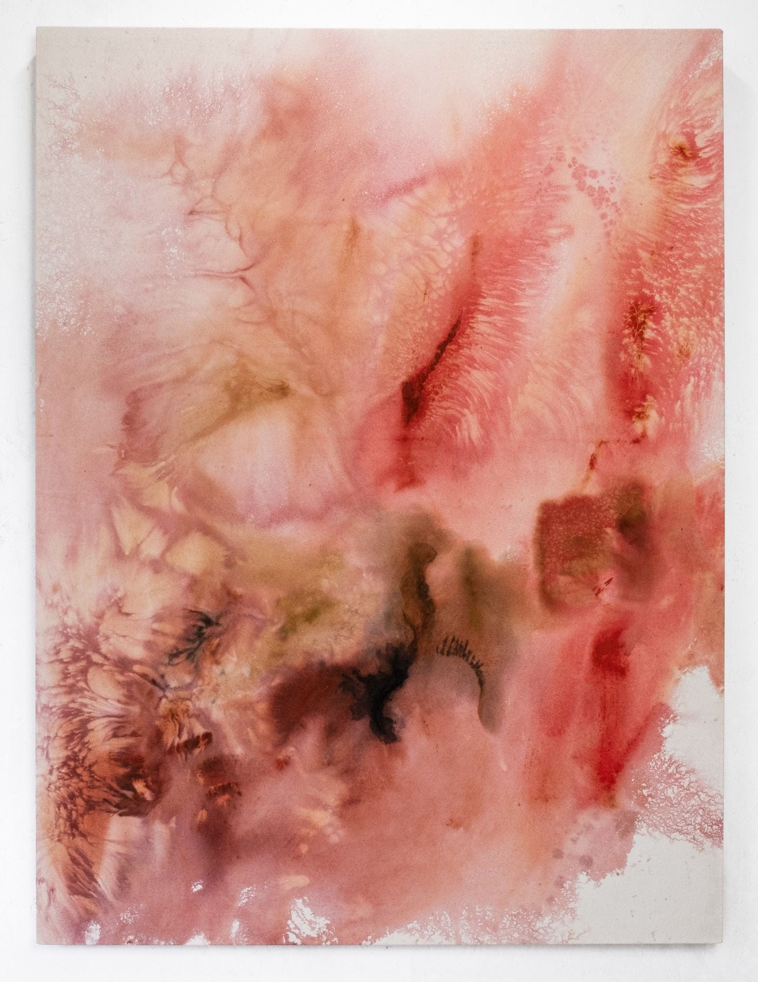 Collection of Anna Blom - Fasciae - Fine art at Liminal Gallery in a gallery layout