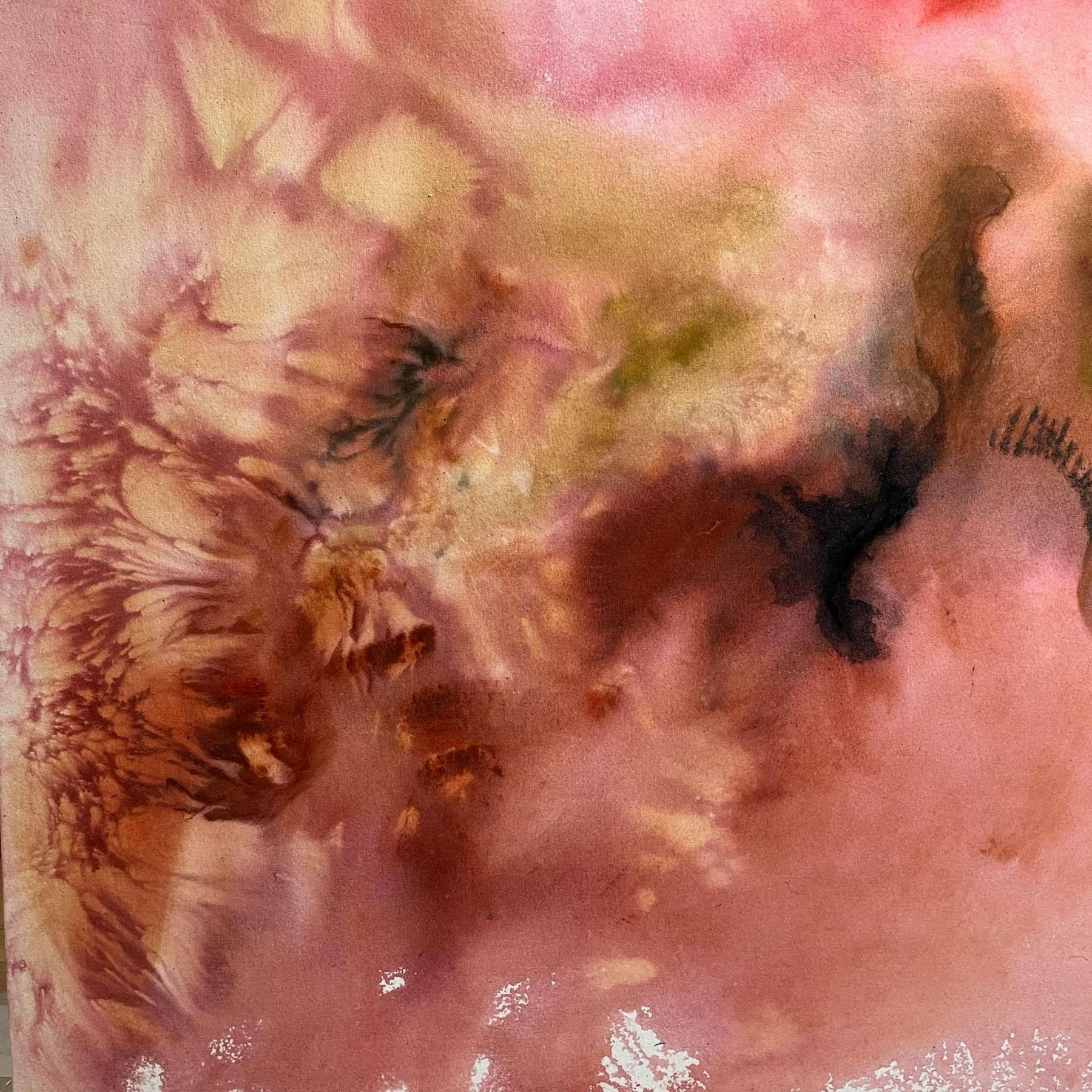 Collection of Anna Blom - Fasciae - Fine art at Liminal Gallery in a gallery layout