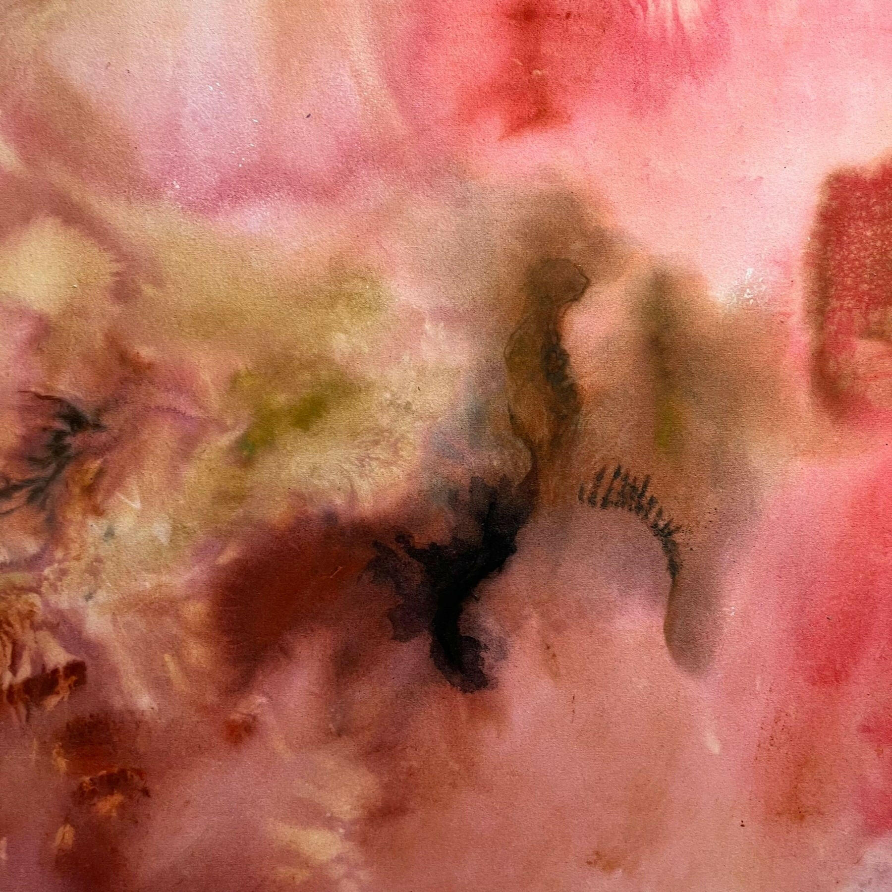 Collection of Anna Blom - Fasciae - Fine art at Liminal Gallery in a gallery layout