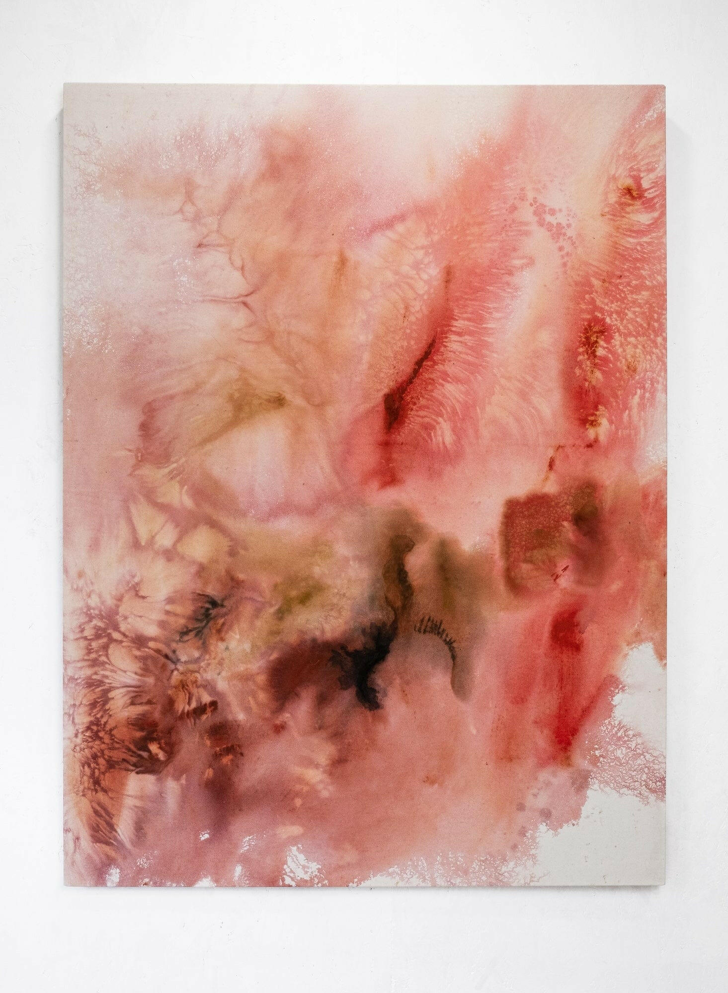 Collection of Anna Blom - Fasciae - Fine art at Liminal Gallery in a gallery layout