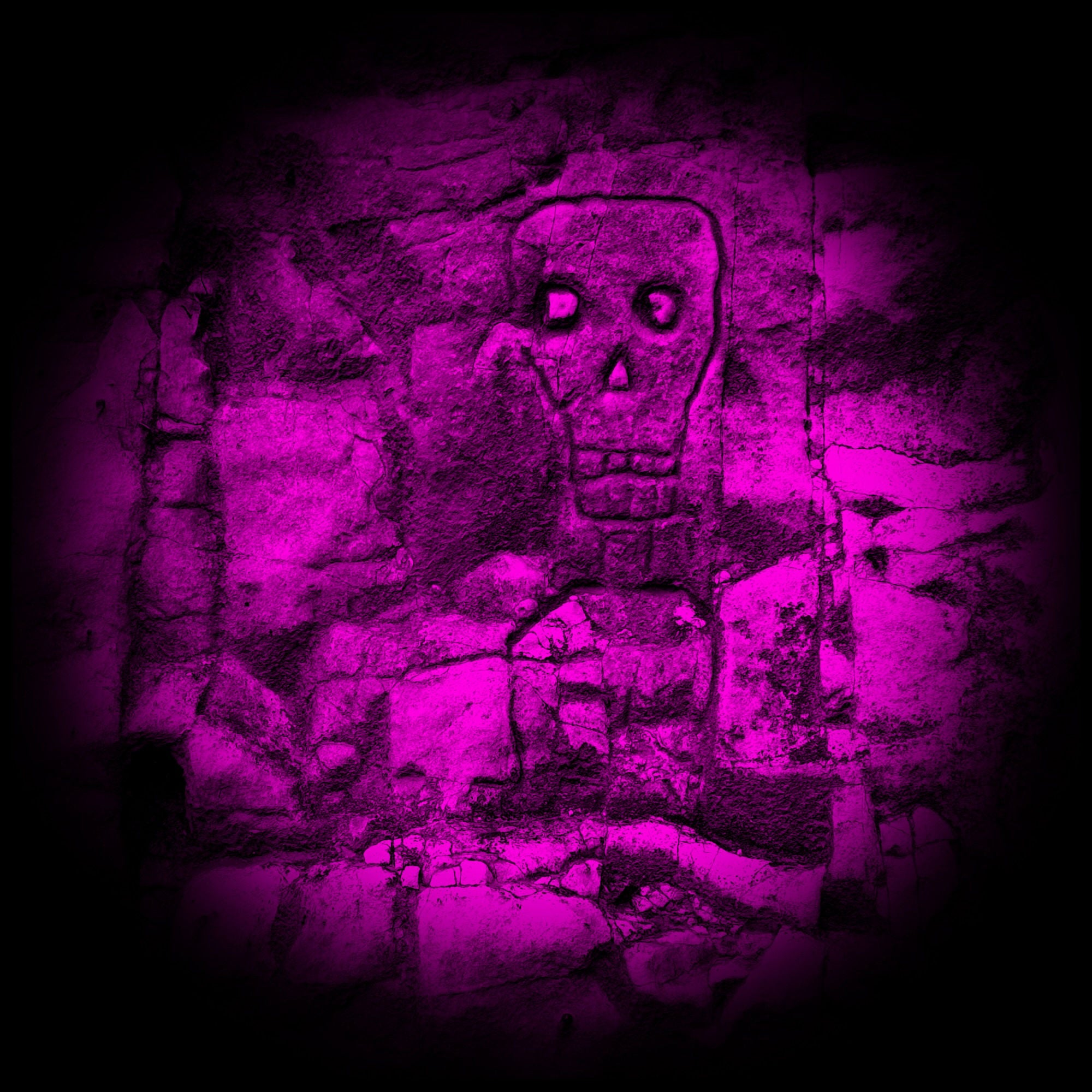 Collection of  in a gallery layout