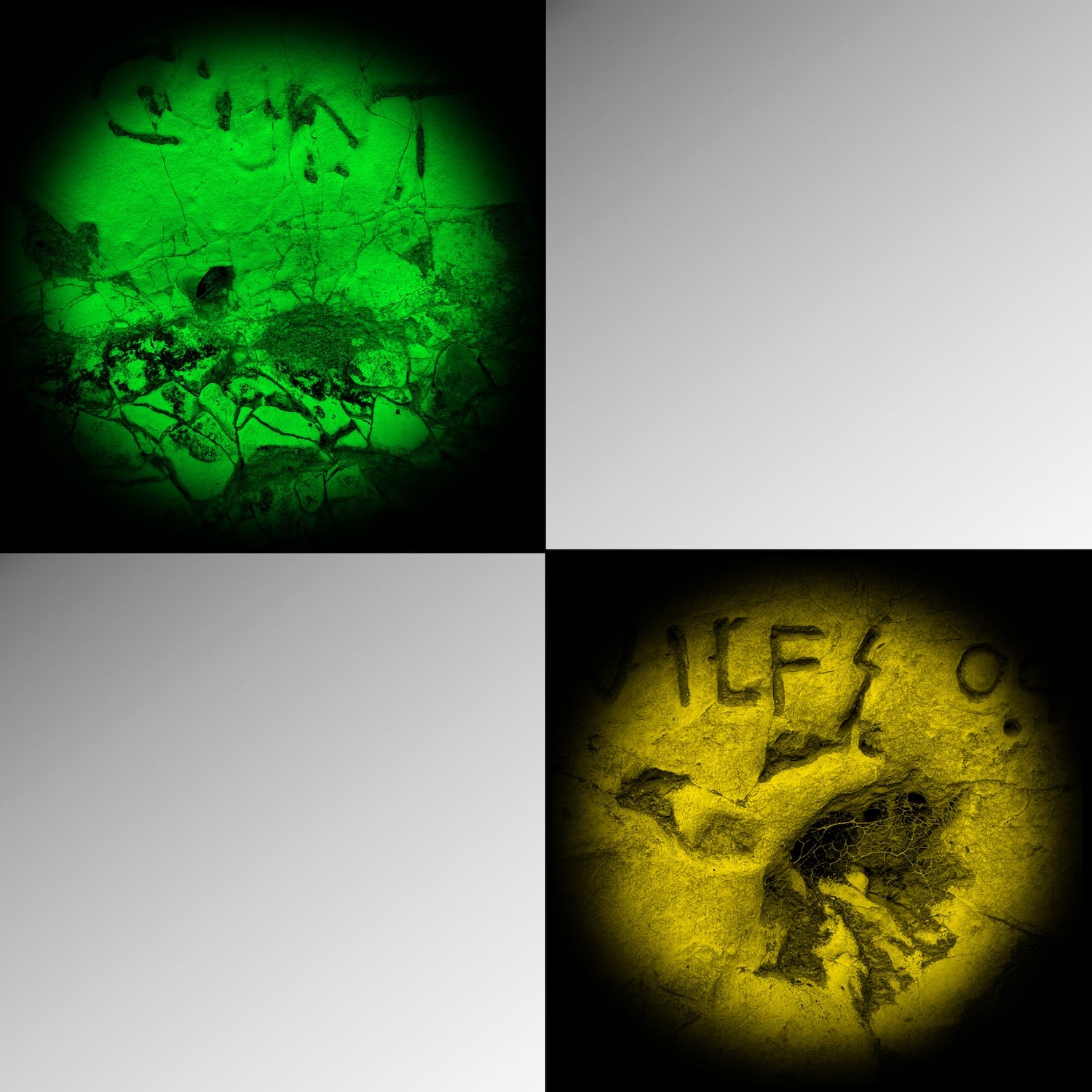 Collection of  in a gallery layout