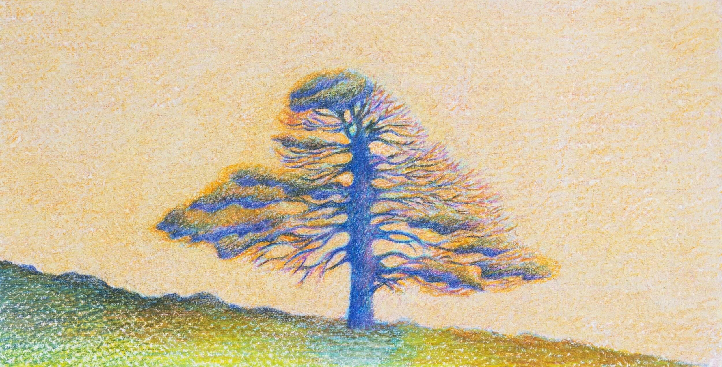 Collection of Benji Thomas 'expedition #1' - Liminal Gallery in a gallery layout