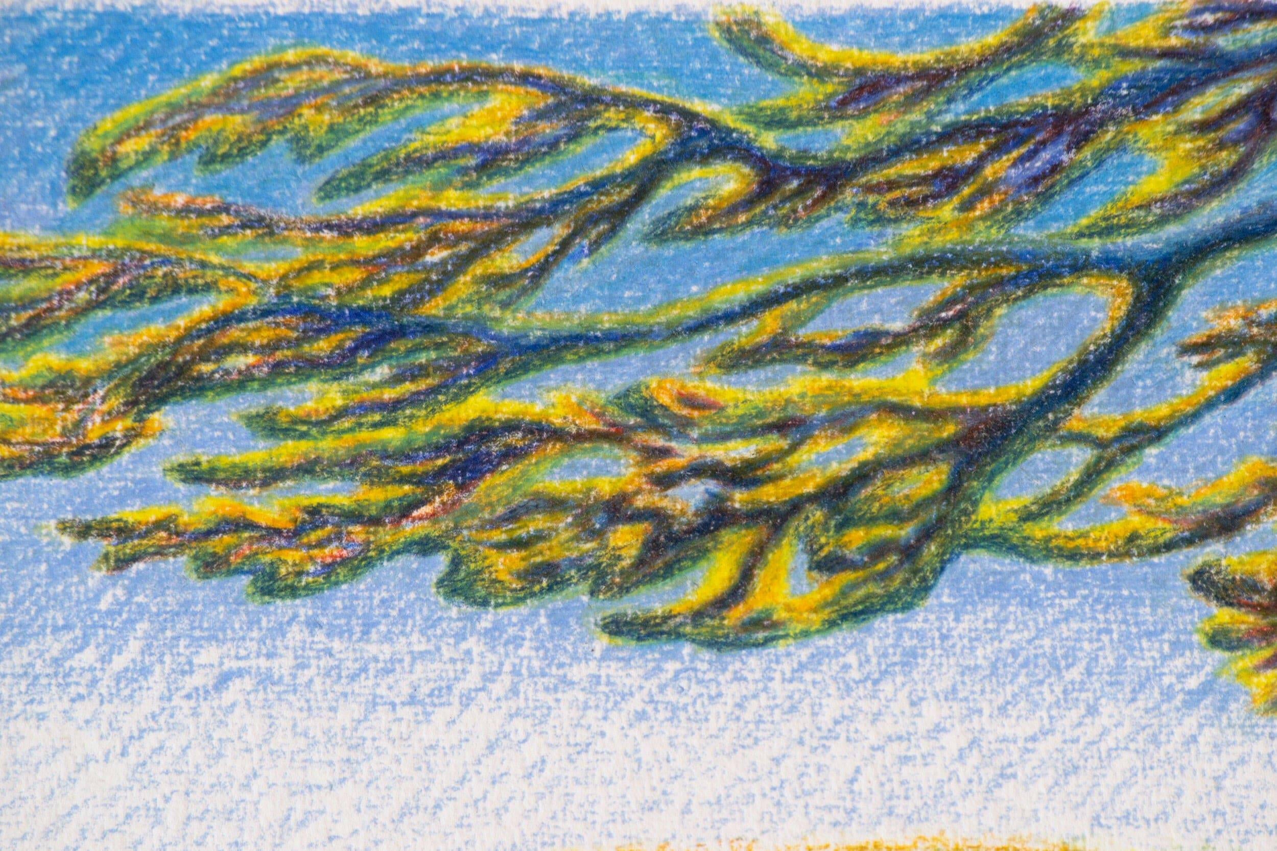 Benji Thomas 'expedition #2' - Fine art at Liminal Gallery