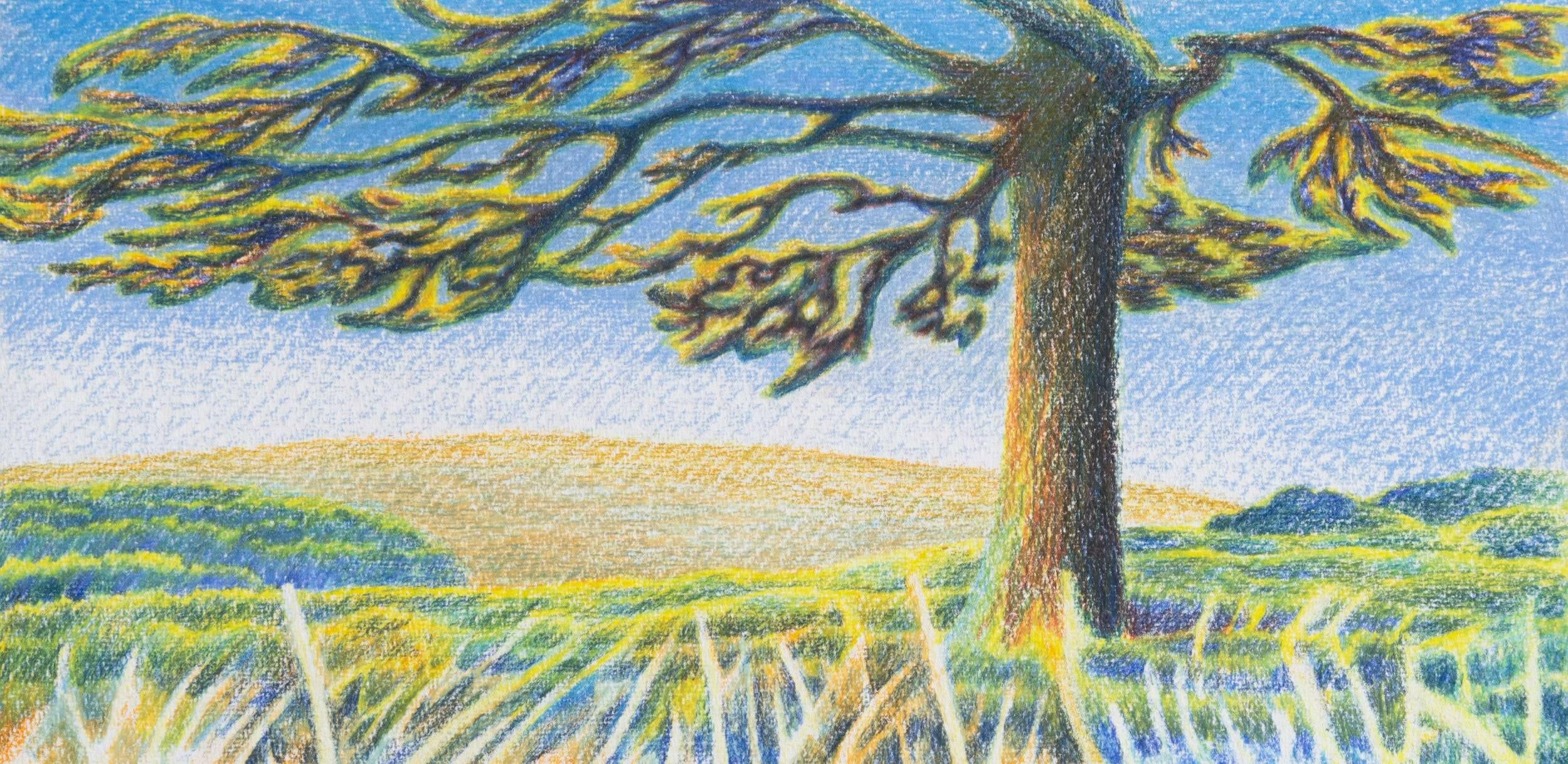 Collection of Benji Thomas 'expedition #2' - Liminal Gallery in a gallery layout