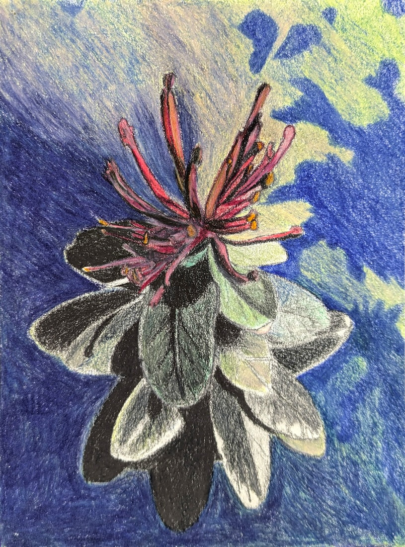 Collection of  in a gallery layout