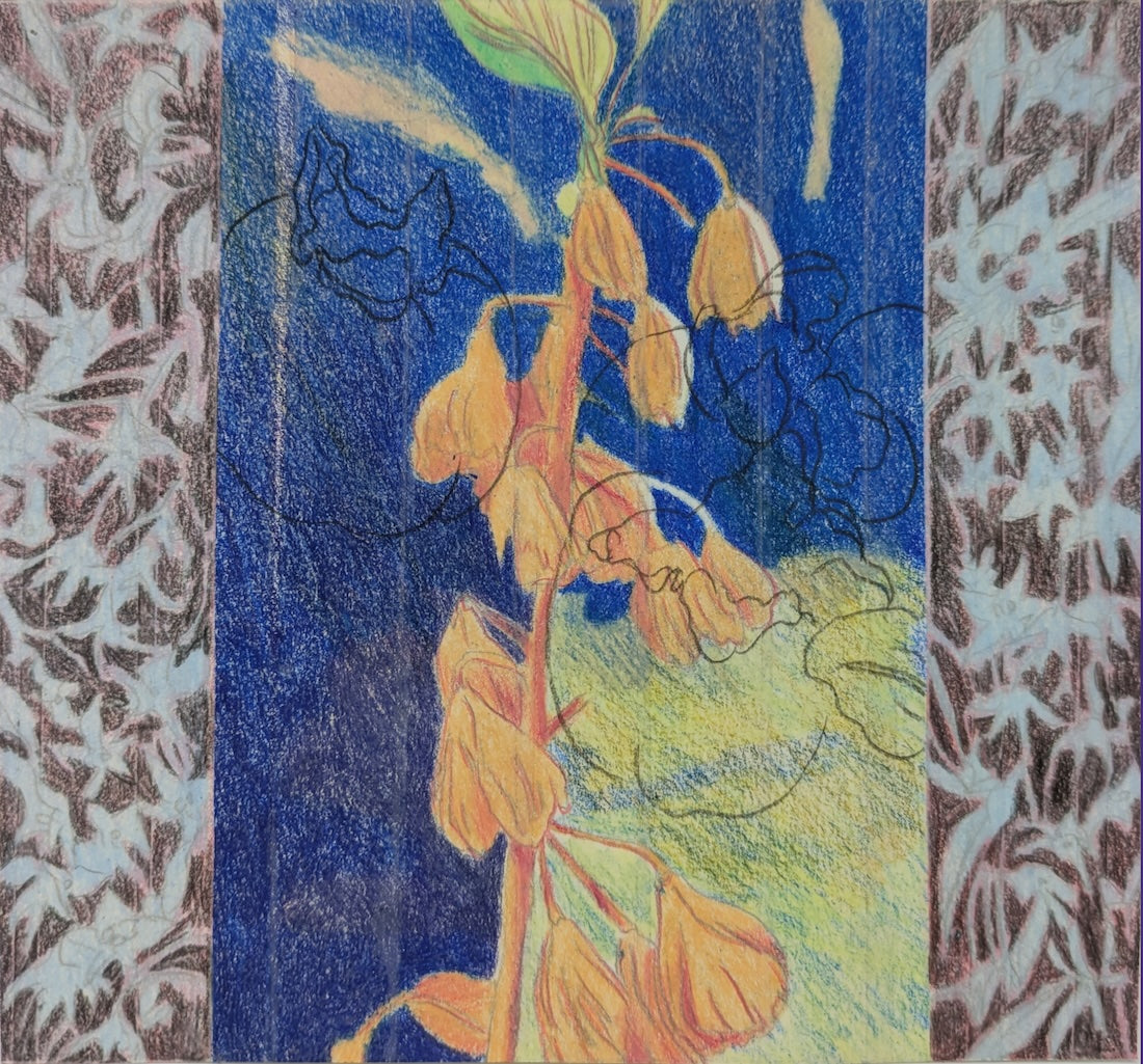 Collection of Liminal Gallery in a gallery layout