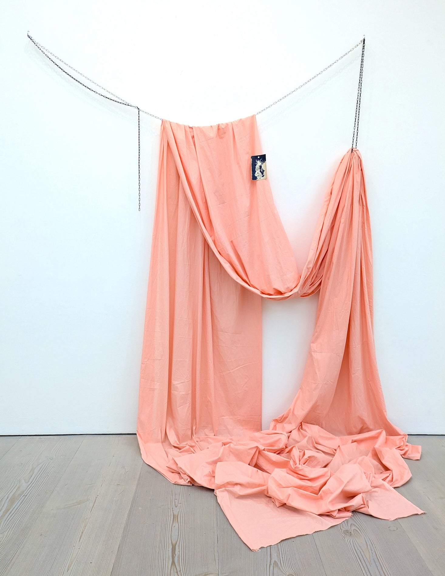 Collection of  in a gallery layout
