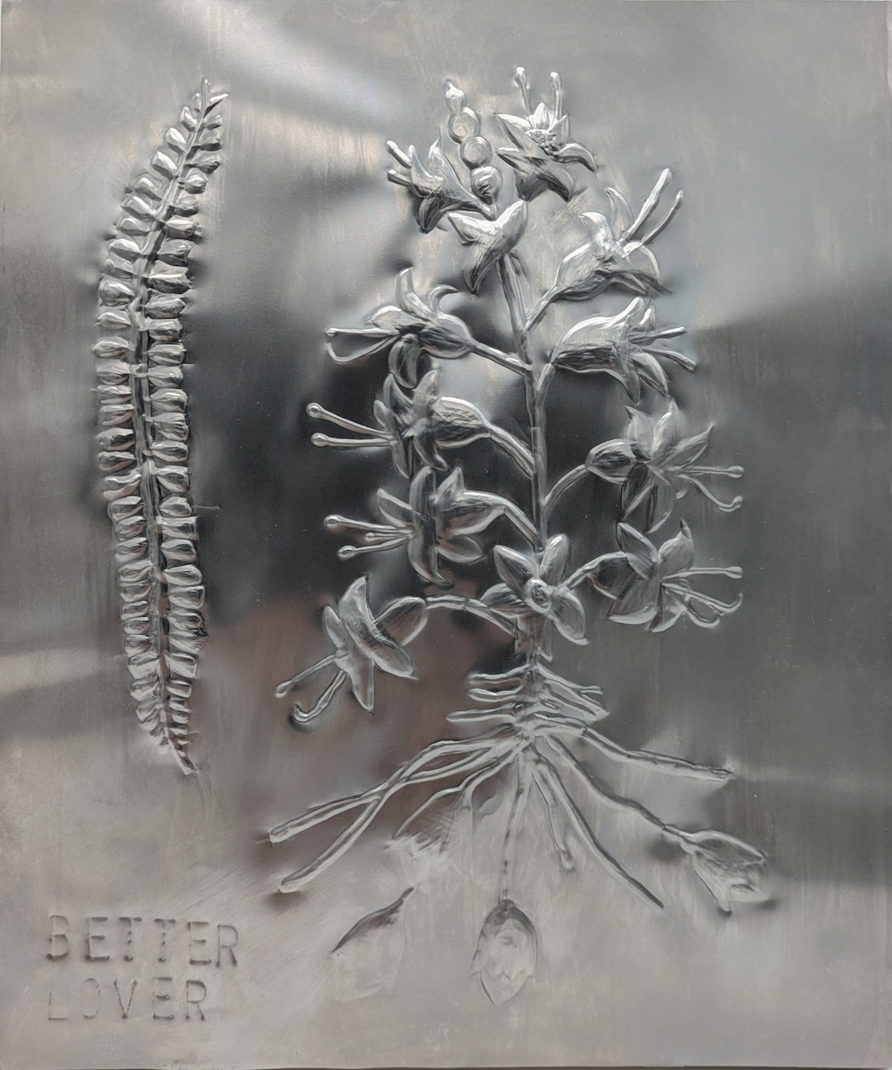 Collection of  in a gallery layout