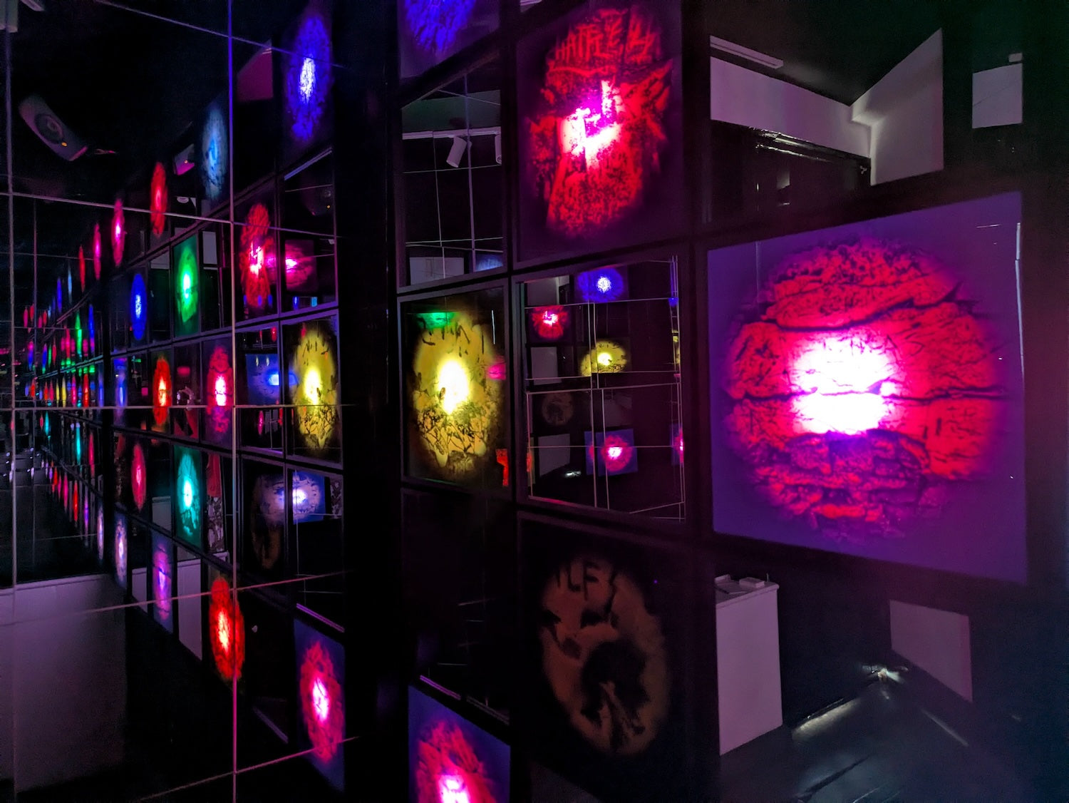 Collection of  in a gallery layout