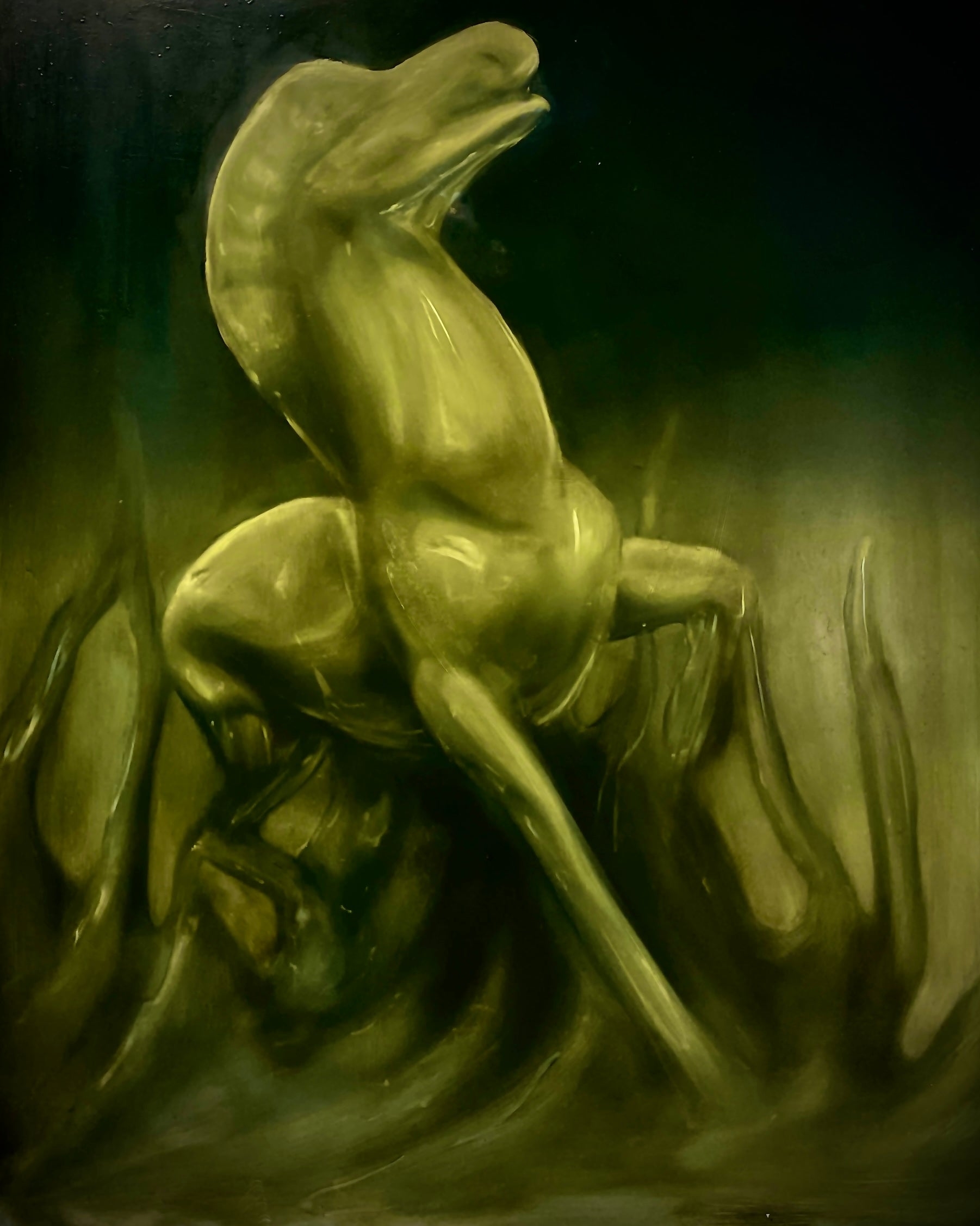 Collection of  in a gallery layout