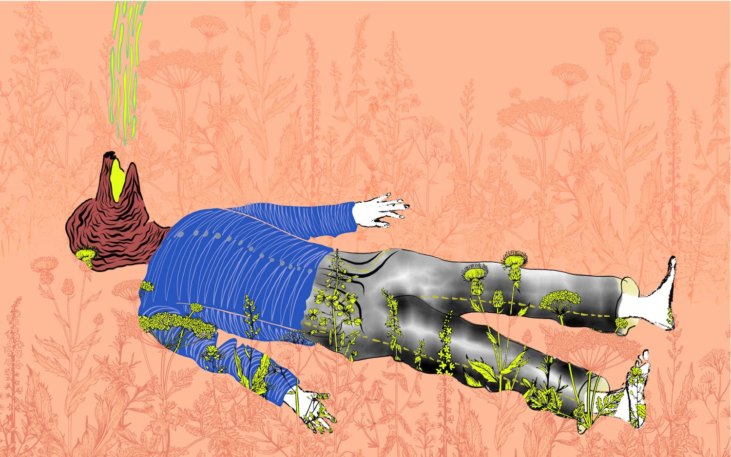 Collection of  in a gallery layout