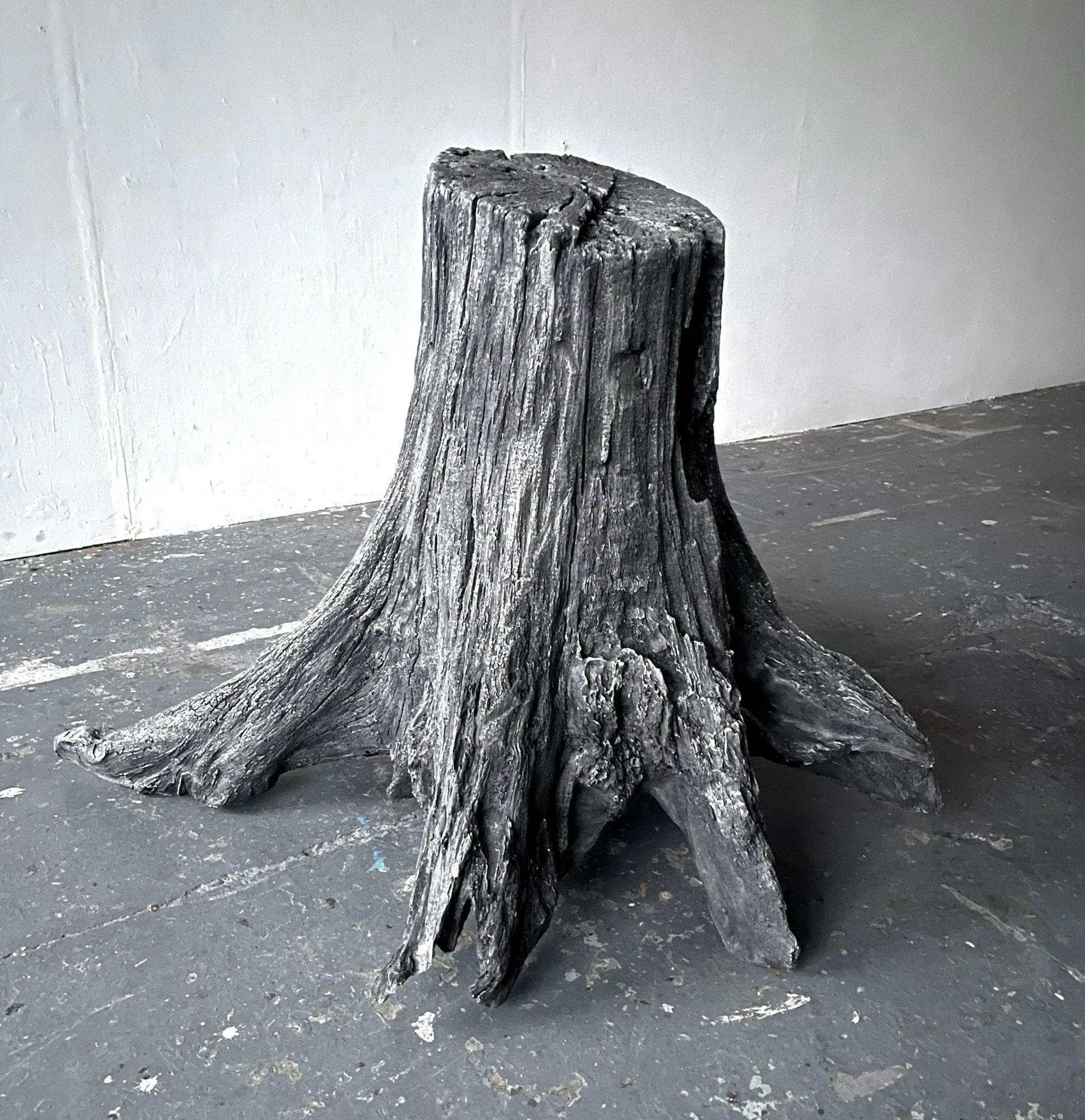 Collection of Henrietta Armstrong - FOSSIL TREE - Fine art at Liminal Gallery in a gallery layout