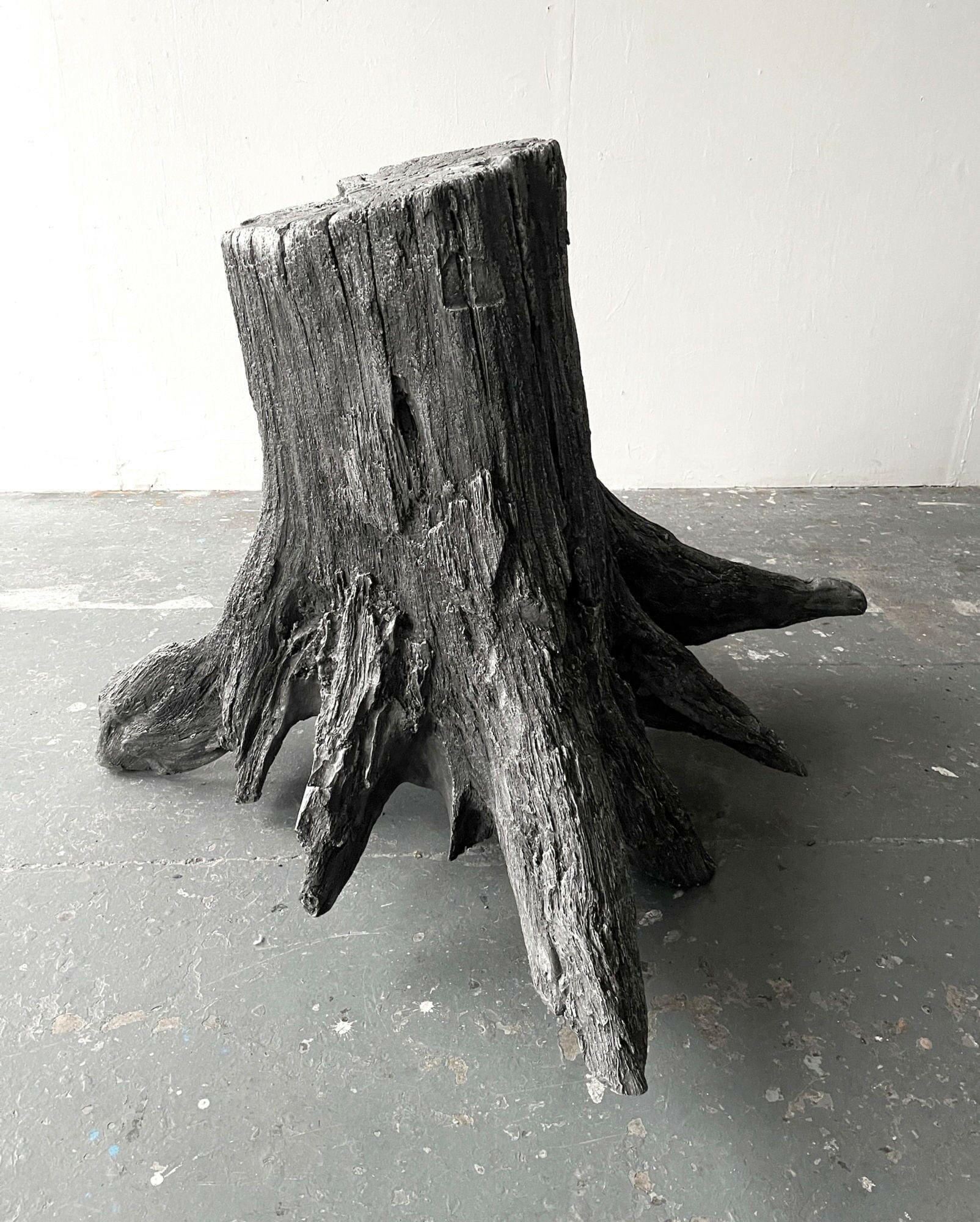 Collection of Henrietta Armstrong - FOSSIL TREE - Fine art at Liminal Gallery in a gallery layout