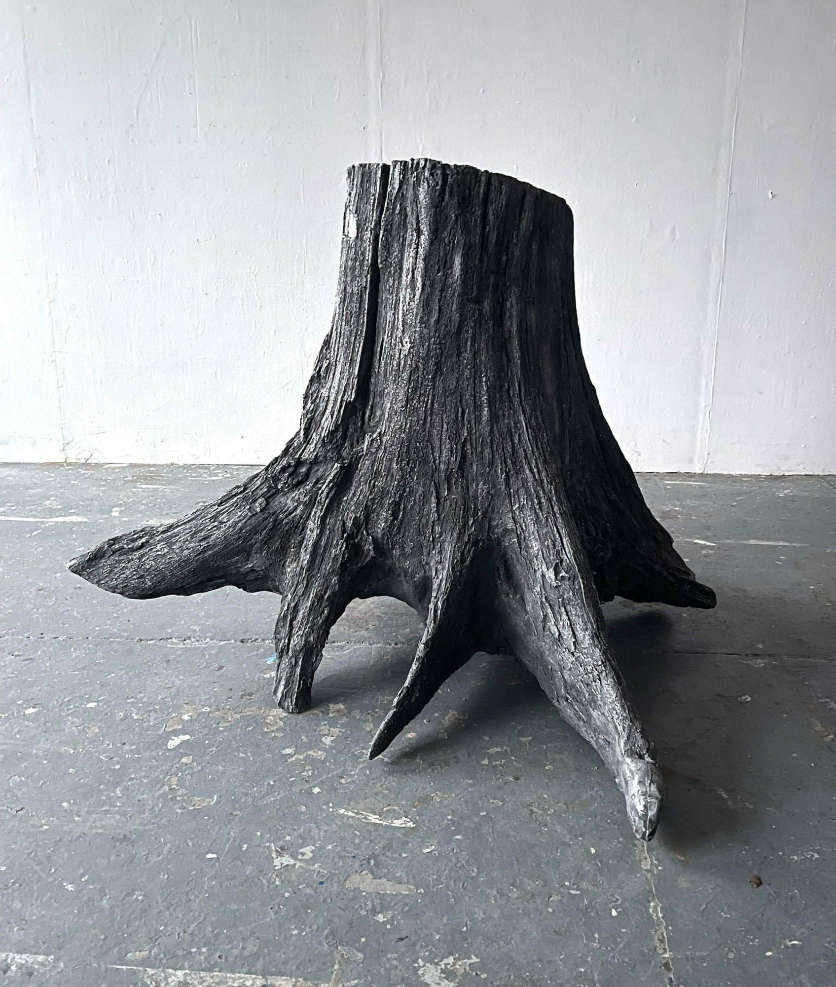 Collection of Henrietta Armstrong - FOSSIL TREE - Fine art at Liminal Gallery in a gallery layout