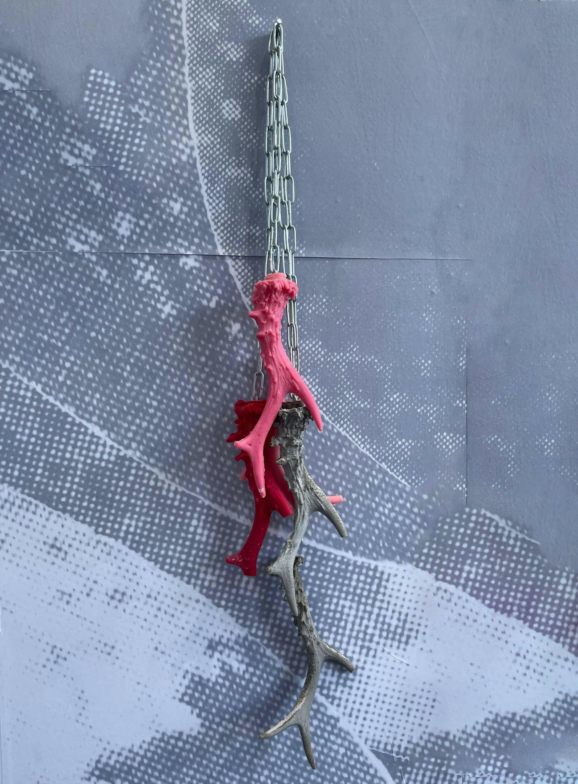 Collection of Henrietta Armstrong - ANTLERS - Liminal Gallery in a gallery layout