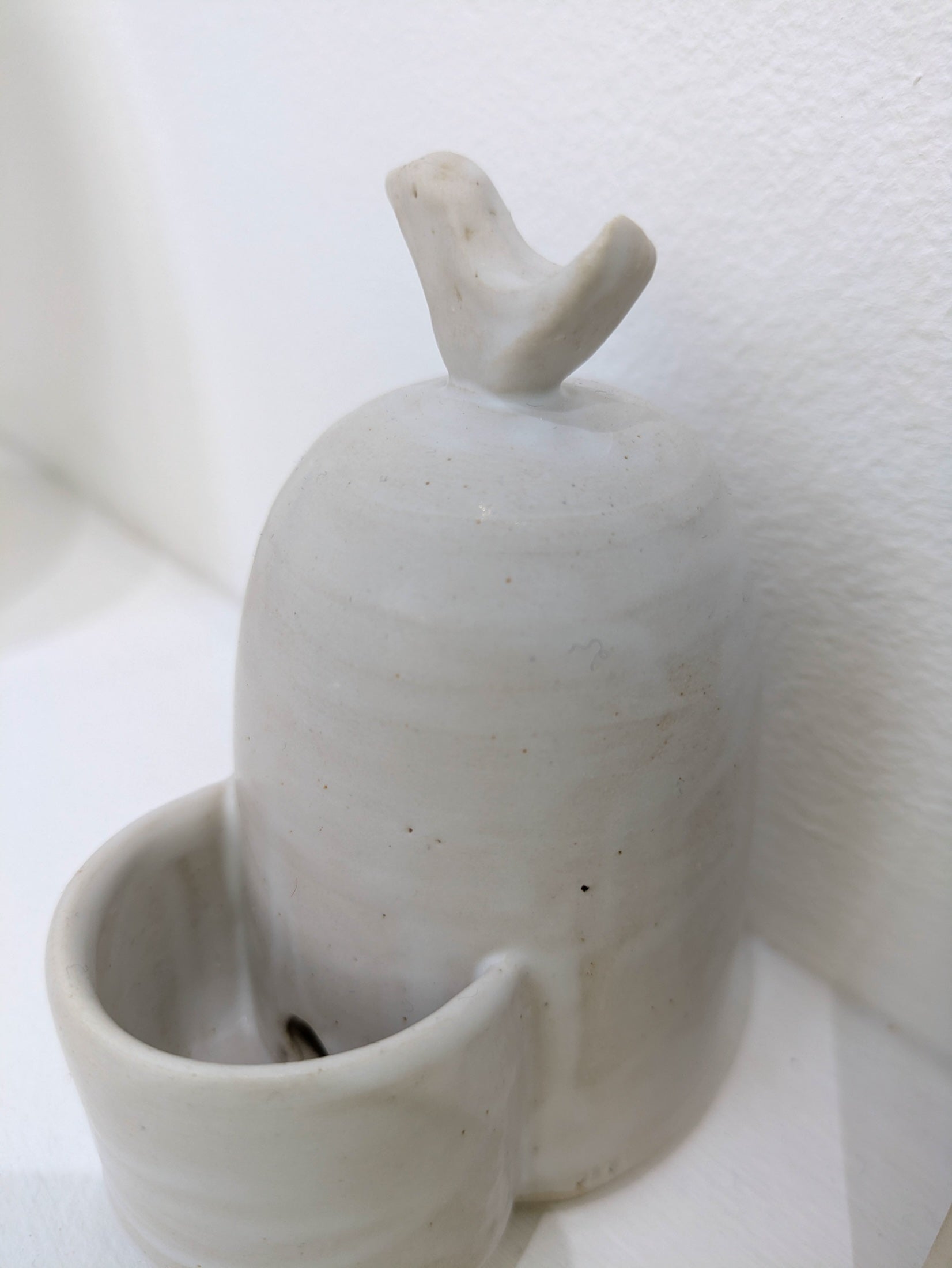 Collection of Jayne Wright - Bird in a gallery layout