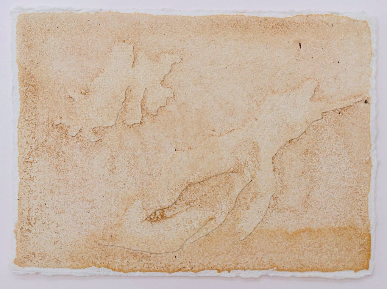 Collection of  in a gallery layout