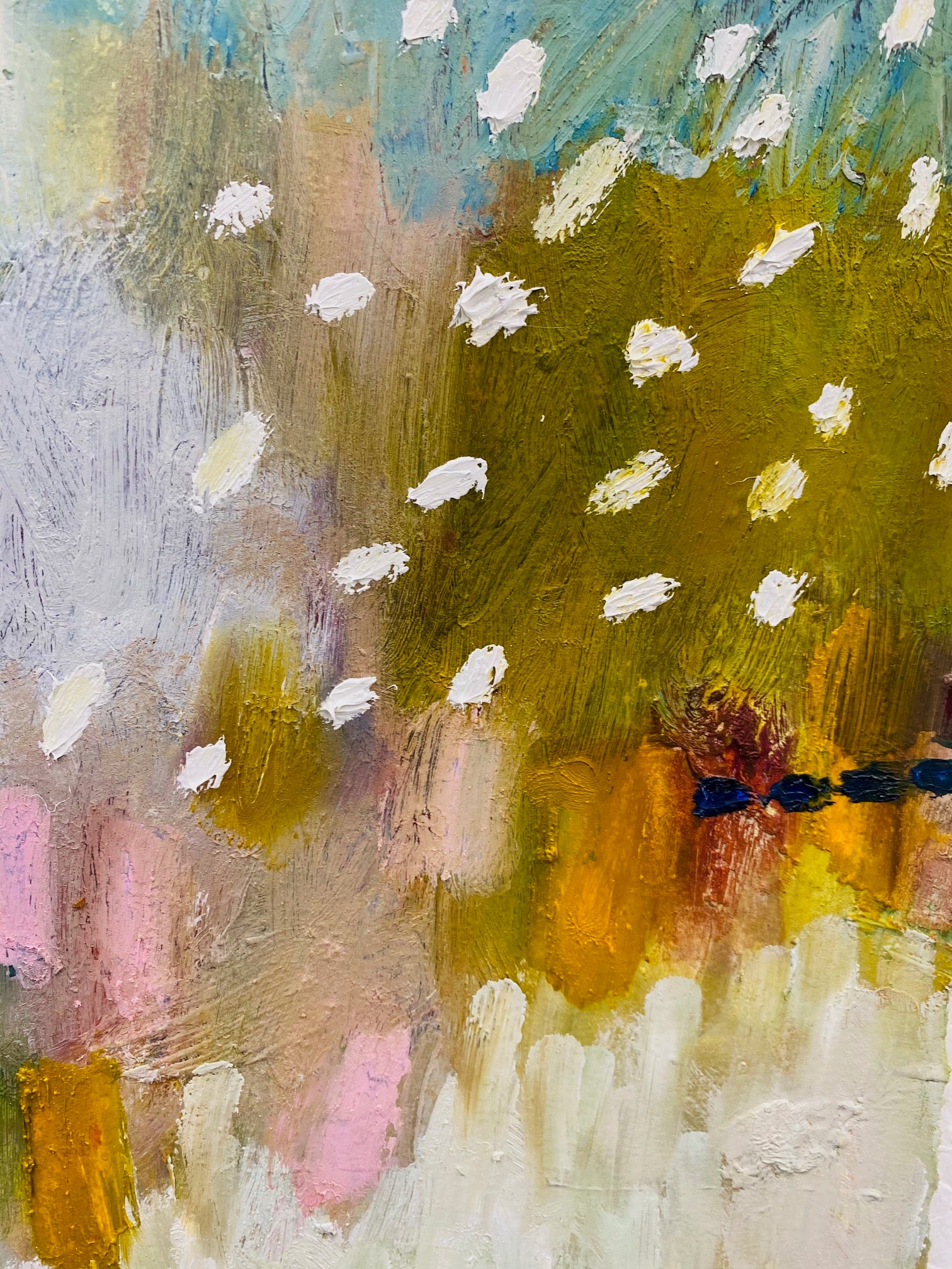 Collection of  in a gallery layout