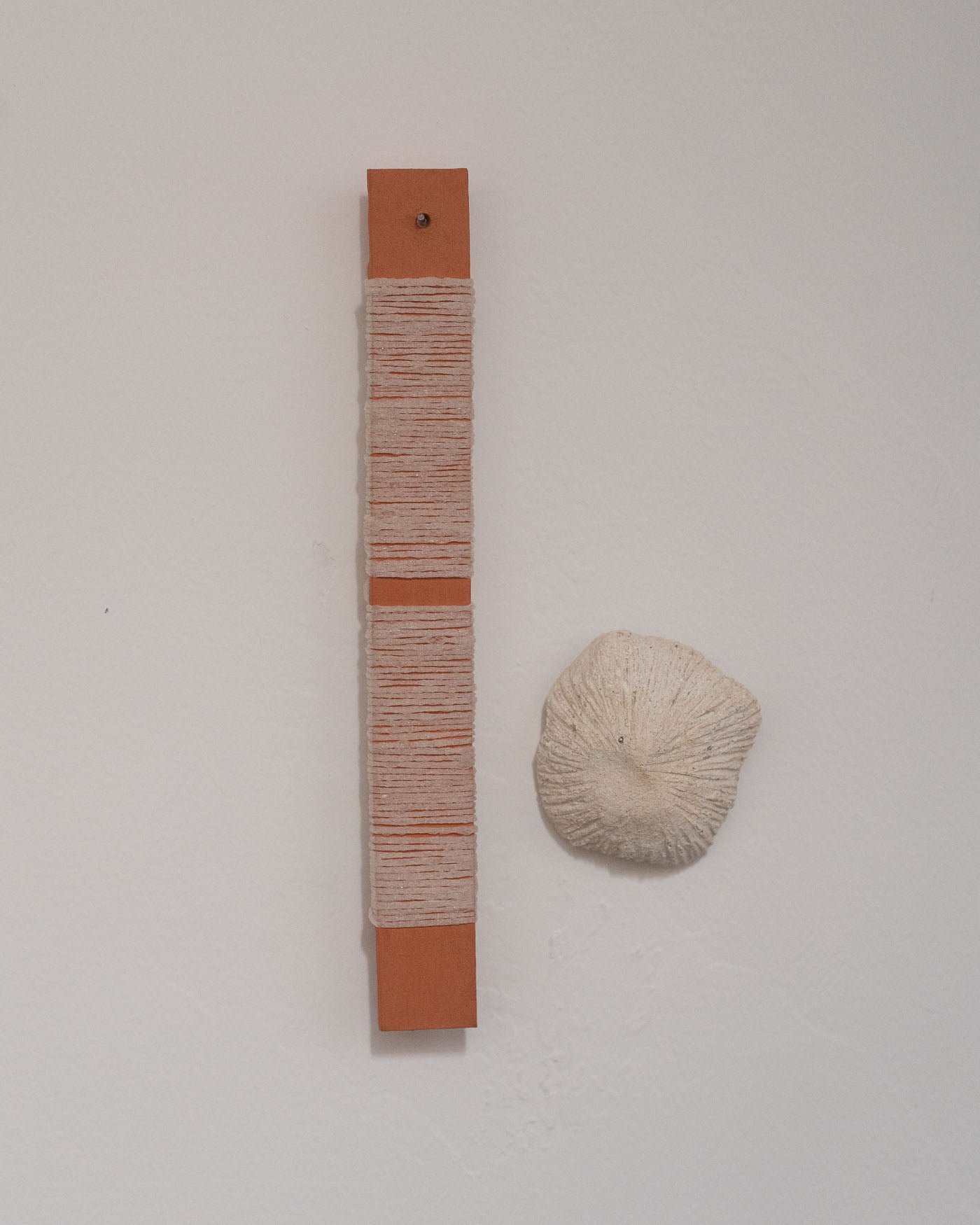 Collection of  in a gallery layout