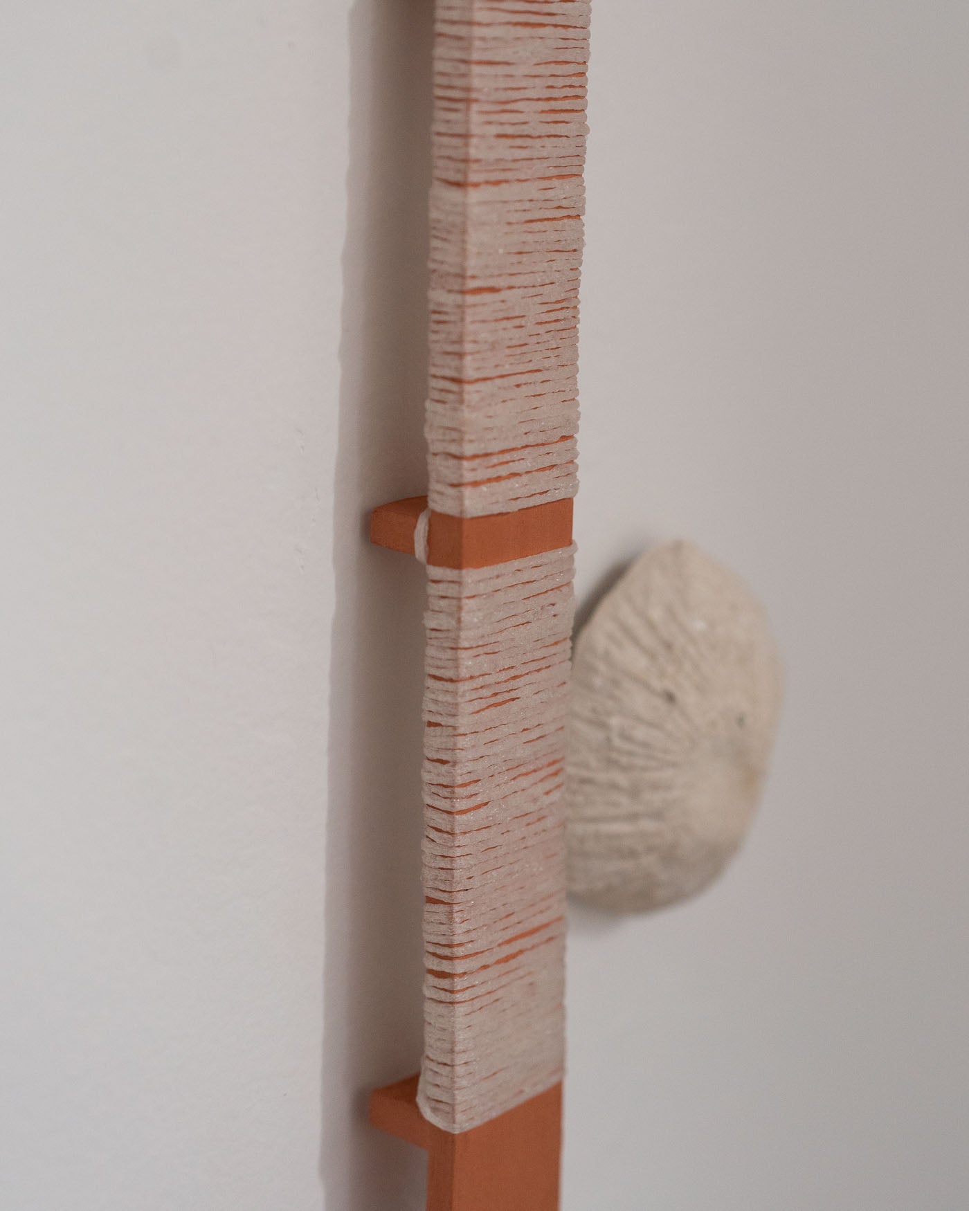 Collection of Louise Frances Smith - Oyster structure (entangled) in a gallery layout