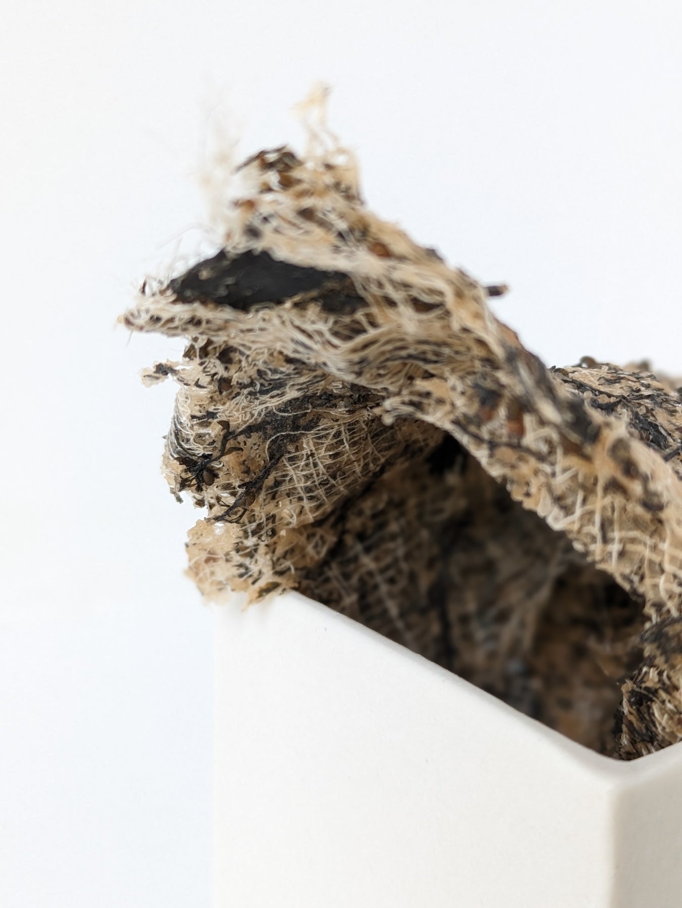 Collection of Louise Frances Smith - Gathered (box 1) in a gallery layout