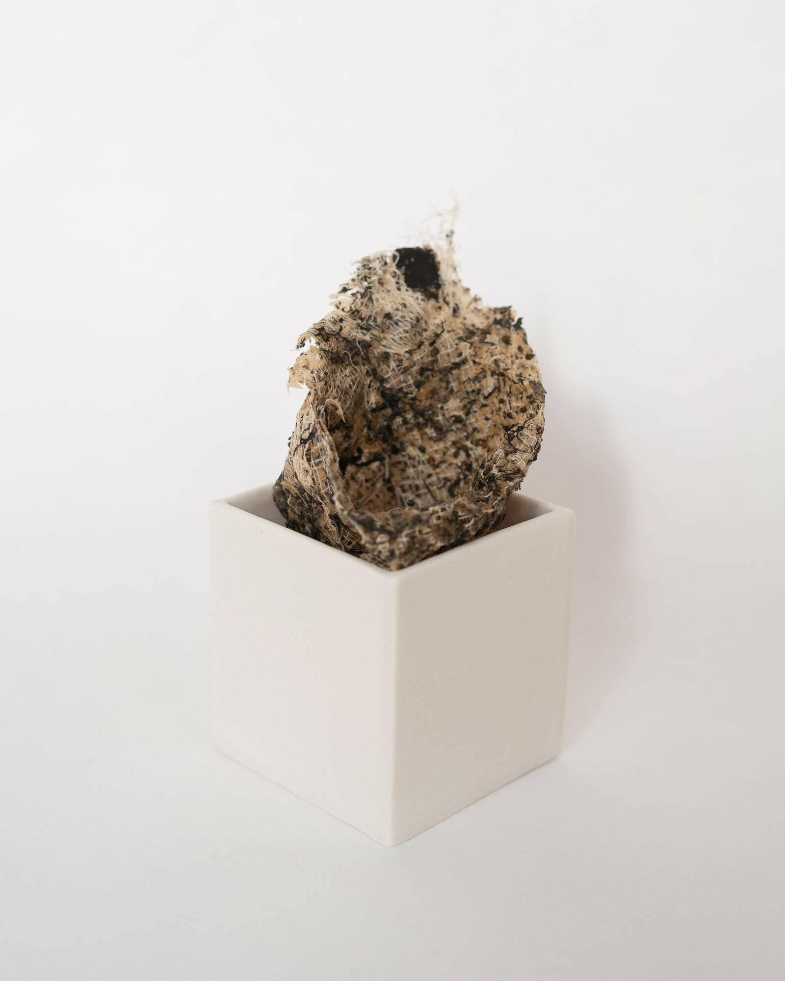 Collection of Louise Frances Smith - Gathered (box 1) - Liminal Gallery in a gallery layout