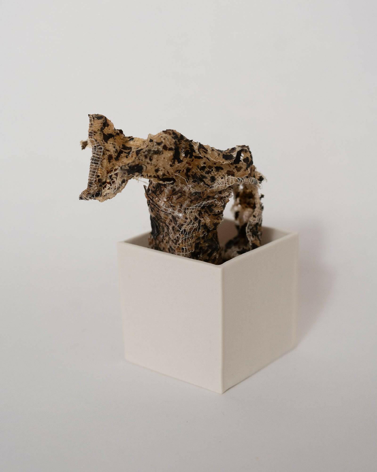 Collection of Louise Frances Smith - Gathered (box 3) - Liminal Gallery in a gallery layout