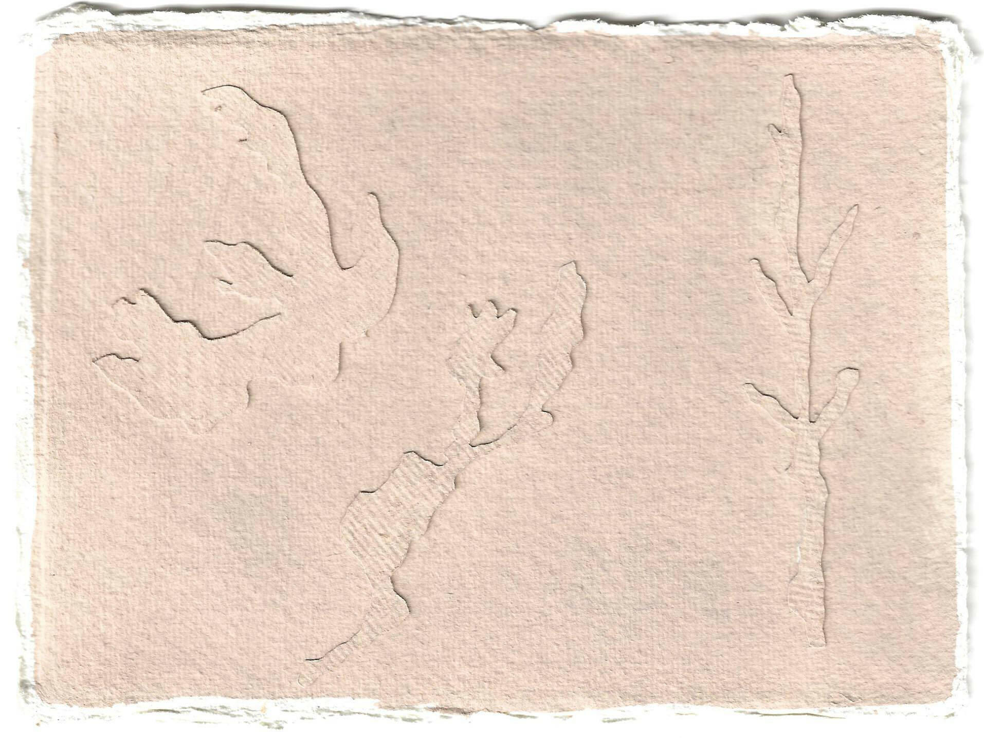 Collection of Louise Frances Smith - It gathered here (pink 1) - Liminal Gallery in a gallery layout