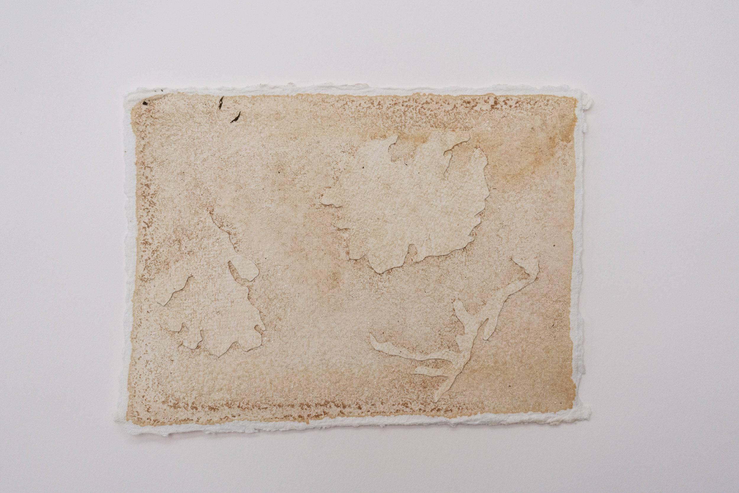 Collection of Louise Frances Smith - It gathered here (wireweed 1) in a gallery layout