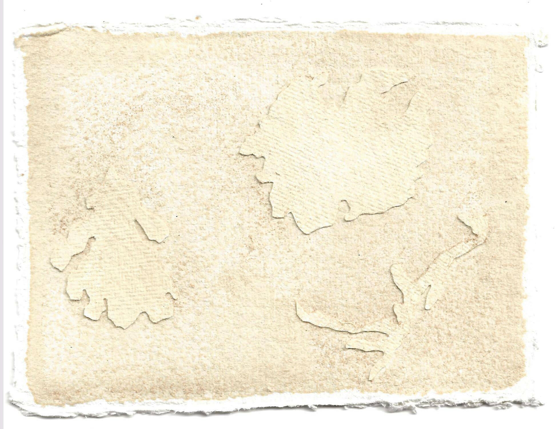 Collection of Louise Frances Smith - It gathered here (wireweed 1) - Liminal Gallery in a gallery layout