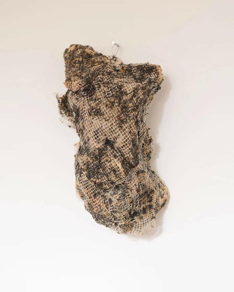 Collection of Louise Frances Smith - Gathered no.4 - Liminal Gallery in a gallery layout