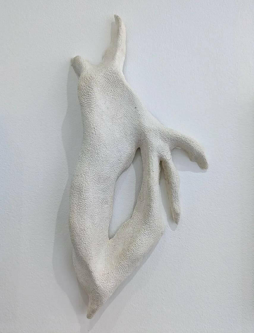 Collection of Louise Frances Smith - Untitled (bryozoa pattern I) - Liminal Gallery in a gallery layout