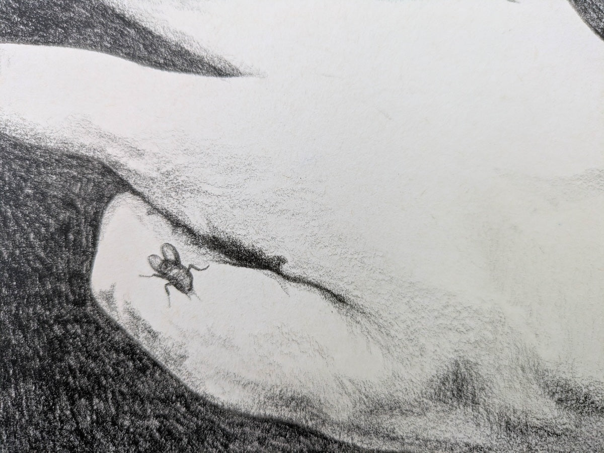 Collection of Maud Whatley - A striking story in a gallery layout