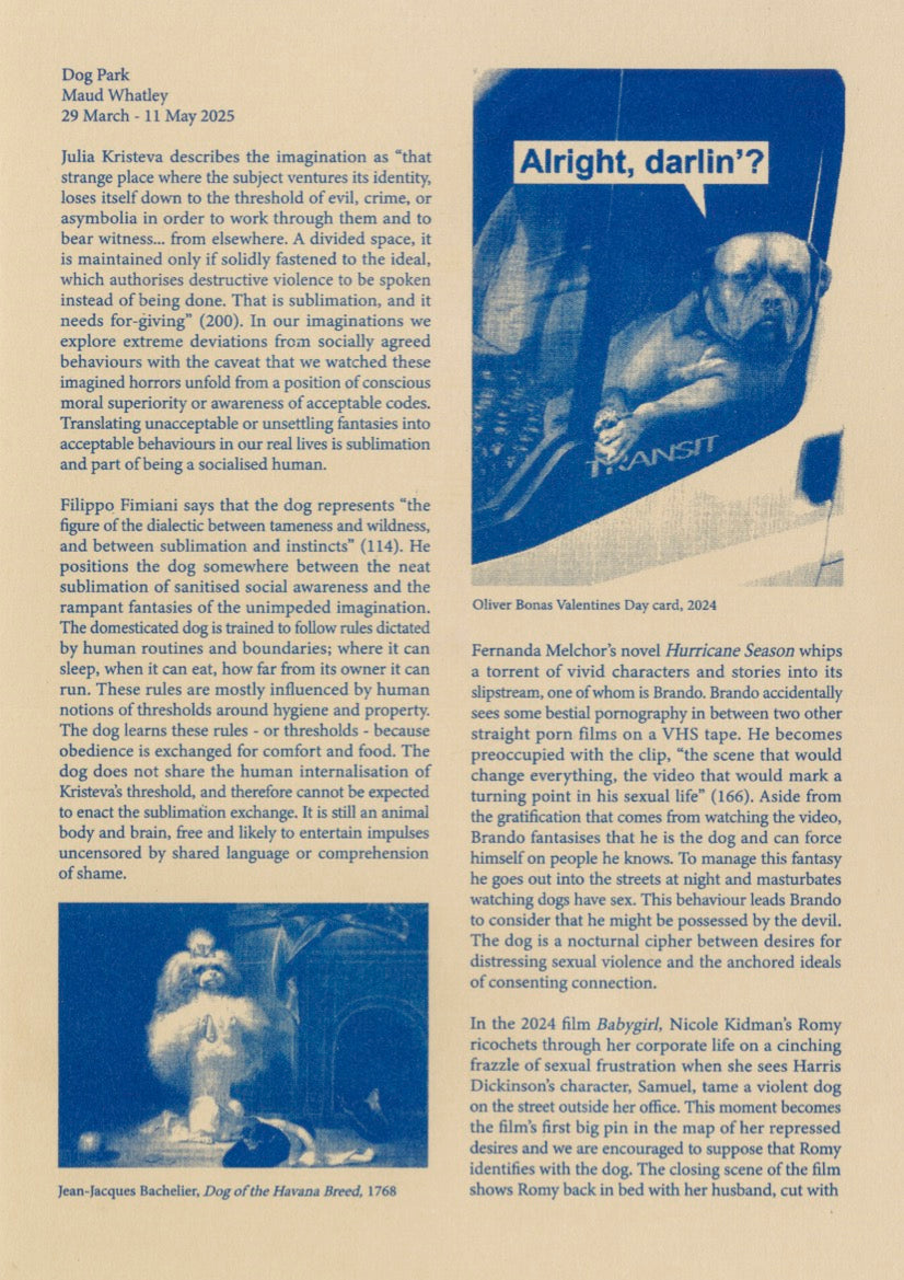 Collection of  in a gallery layout