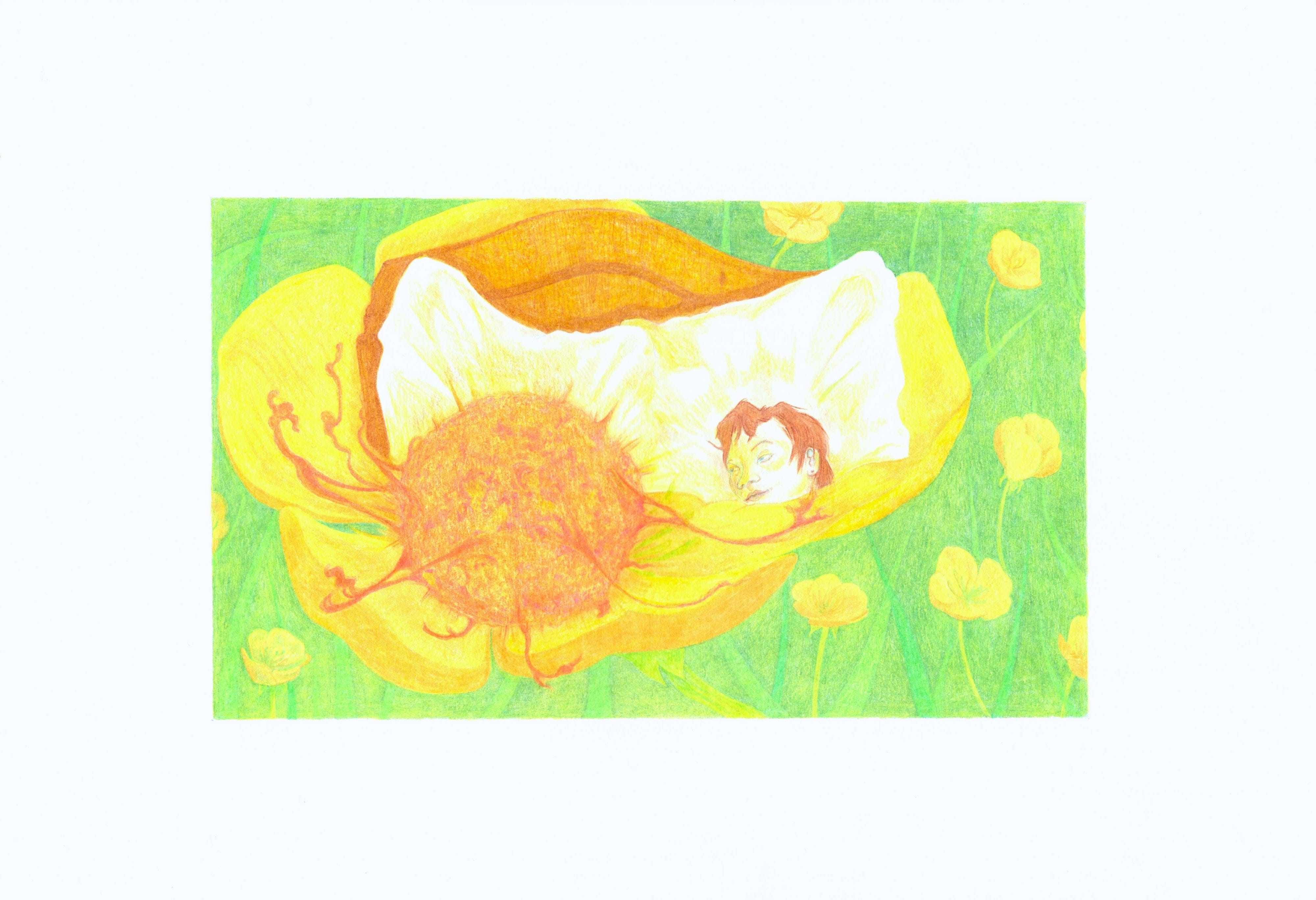 Collection of Maud Whatley - Tangling - Liminal Gallery in a gallery layout