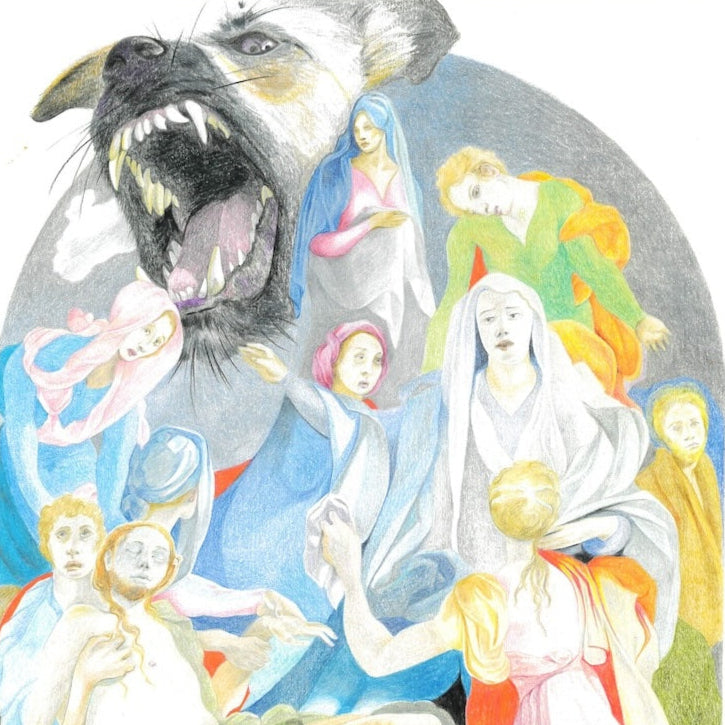 Collection of  in a gallery layout