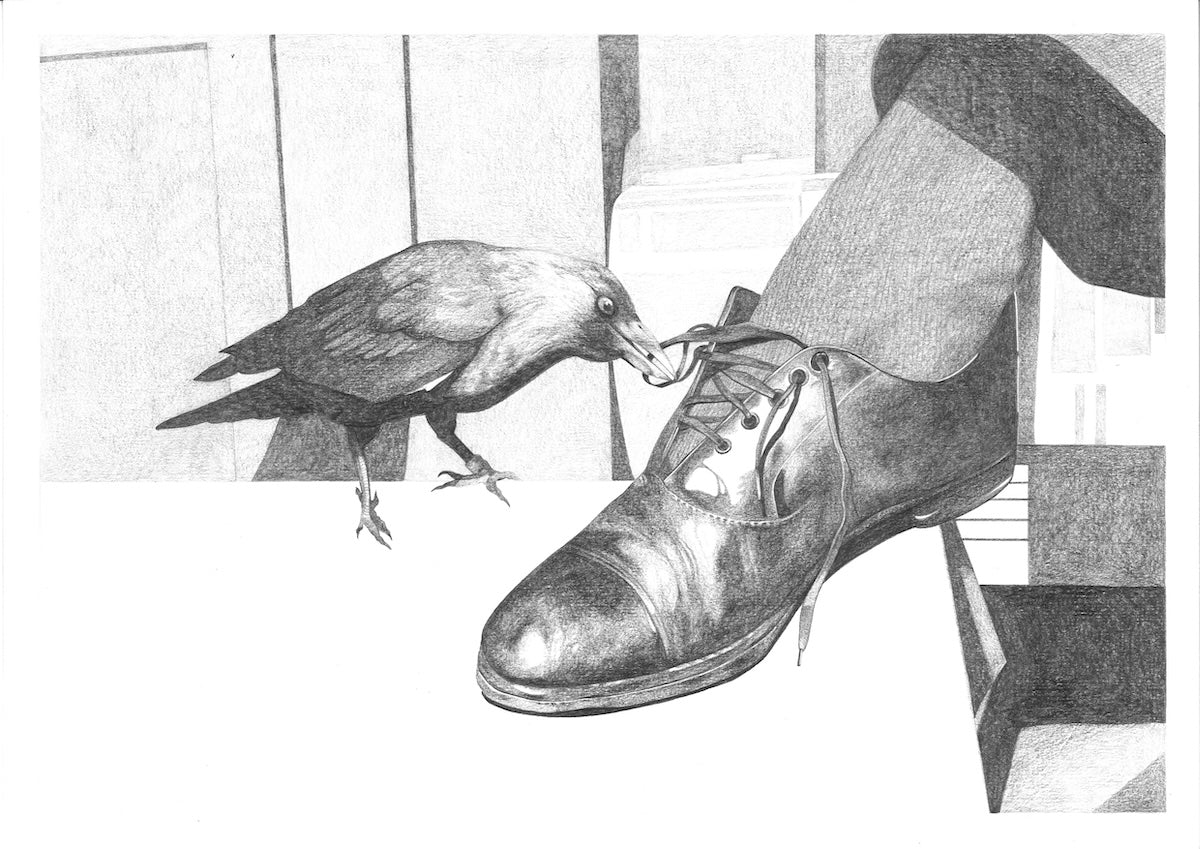 Collection of  in a gallery layout