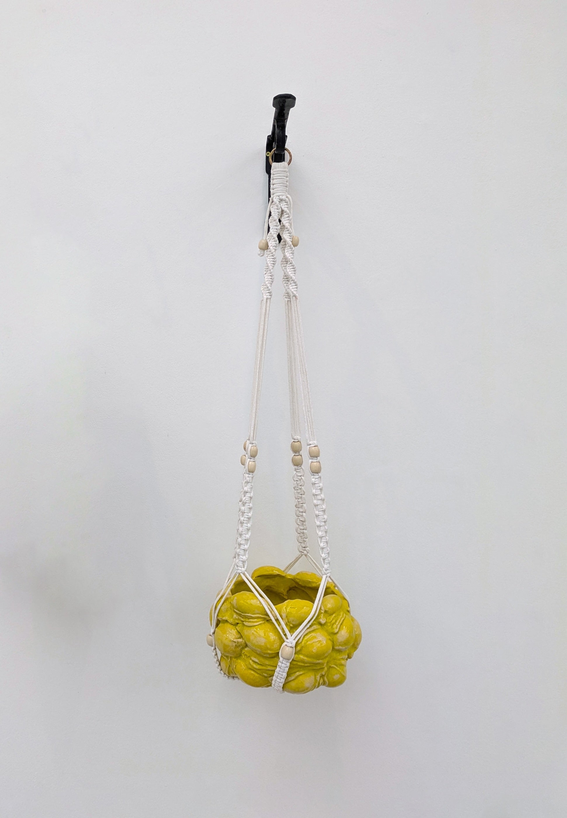 Collection of  in a gallery layout