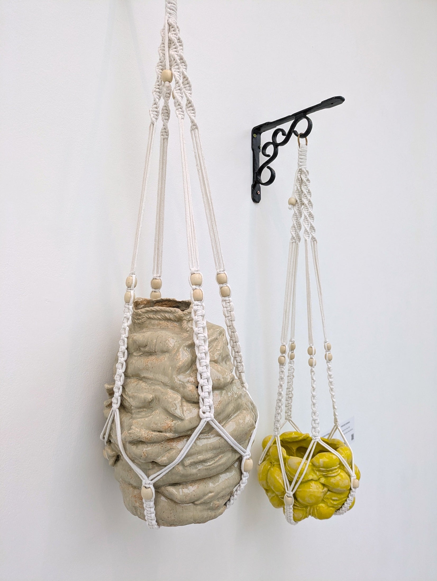 Collection of Mercedes Lucy - Hanging Lemon Vulvas in a gallery layout