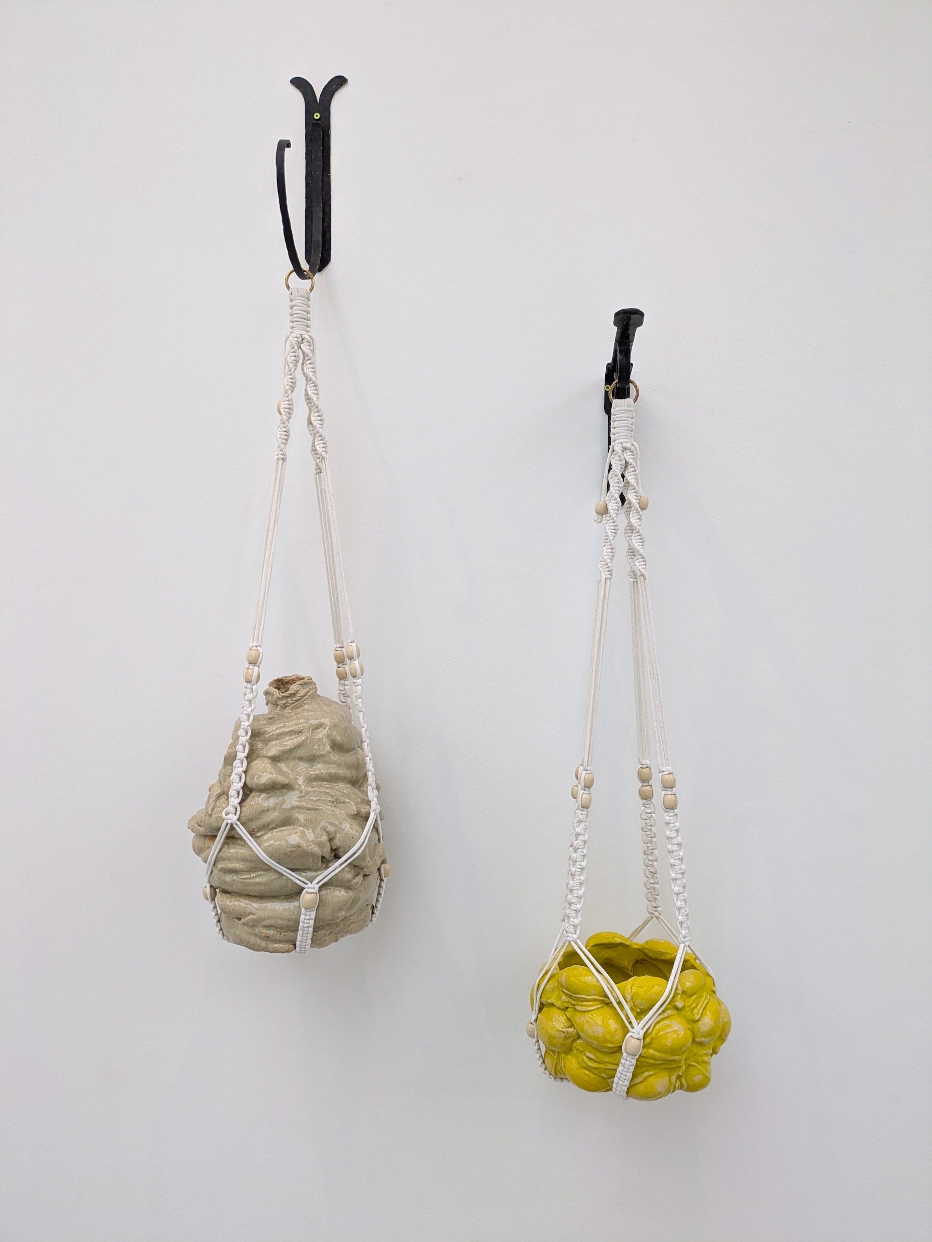 Collection of Mercedes Lucy - Hanging Lemon Vulvas in a gallery layout