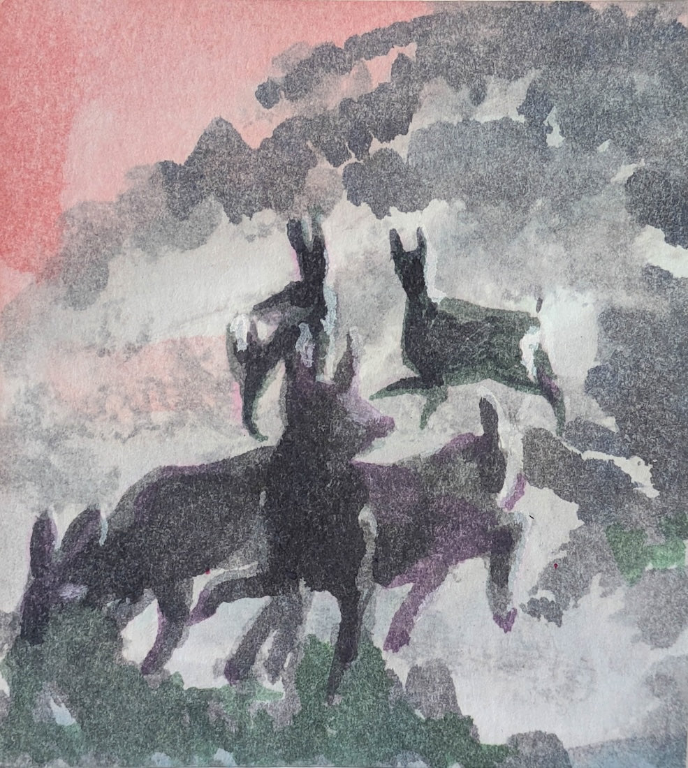 Collection of  in a gallery layout