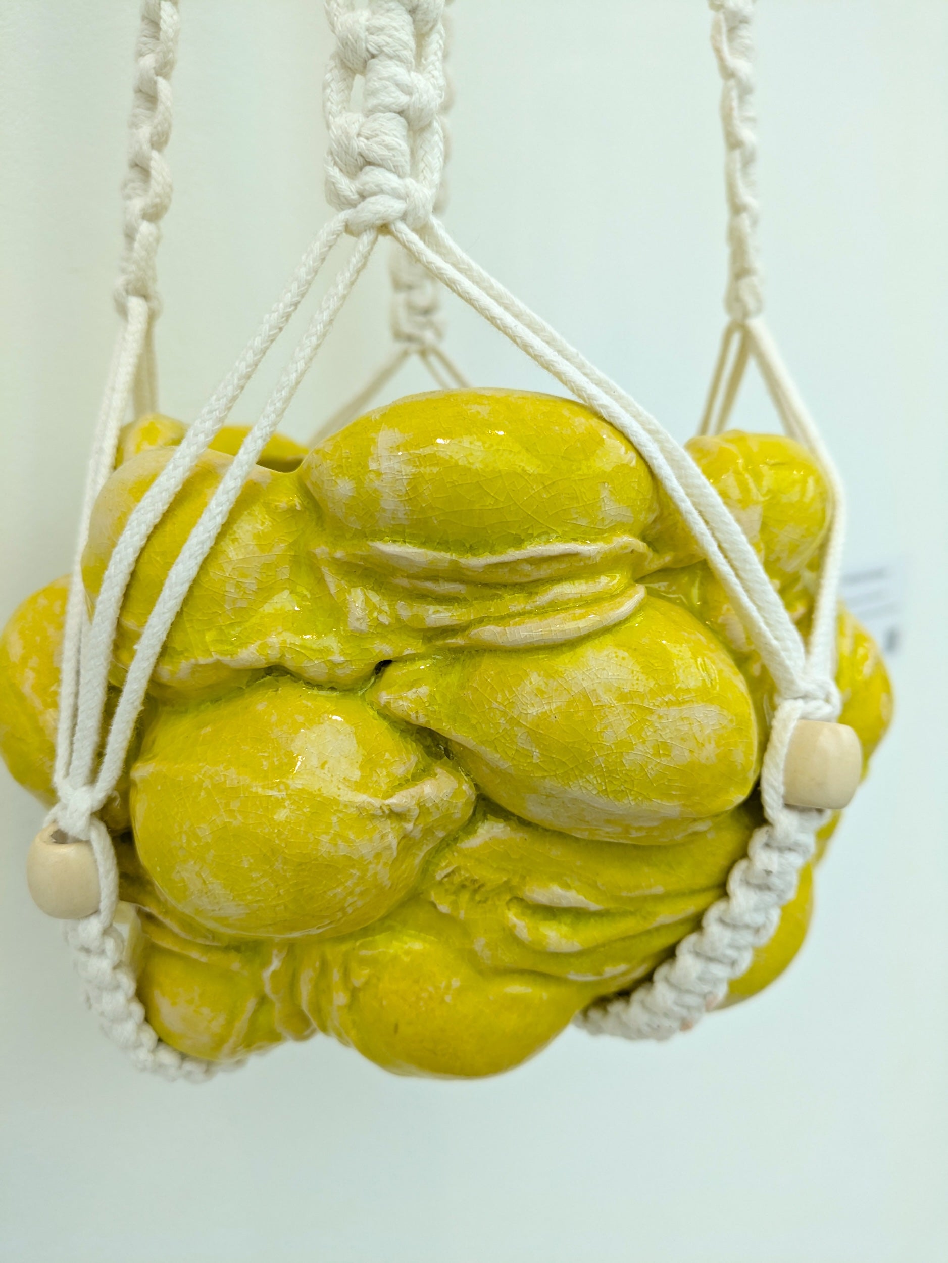 Collection of Mercedes Lucy - Hanging Lemon Vulvas in a gallery layout