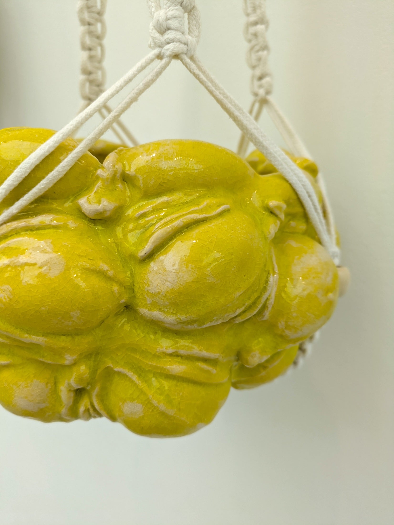 Collection of Mercedes Lucy - Hanging Lemon Vulvas in a gallery layout