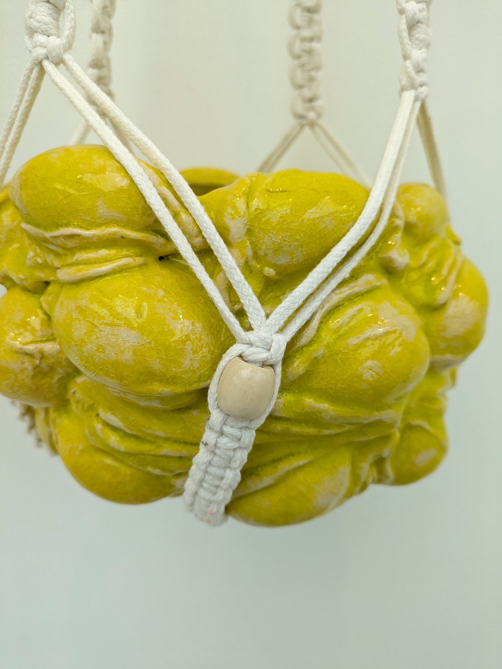 Collection of Mercedes Lucy - Hanging Lemon Vulvas in a gallery layout